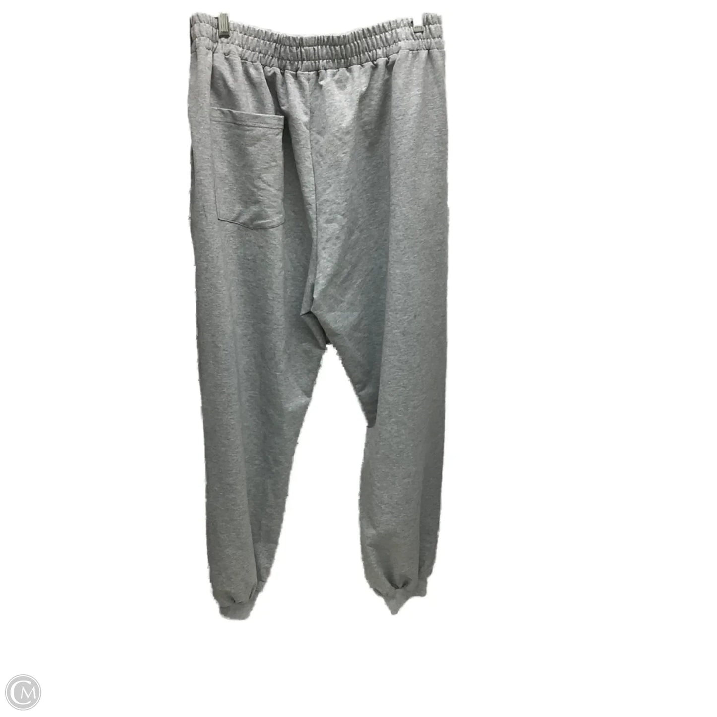 Athletic Pants By Fashion Nova In Grey, Size: 1x