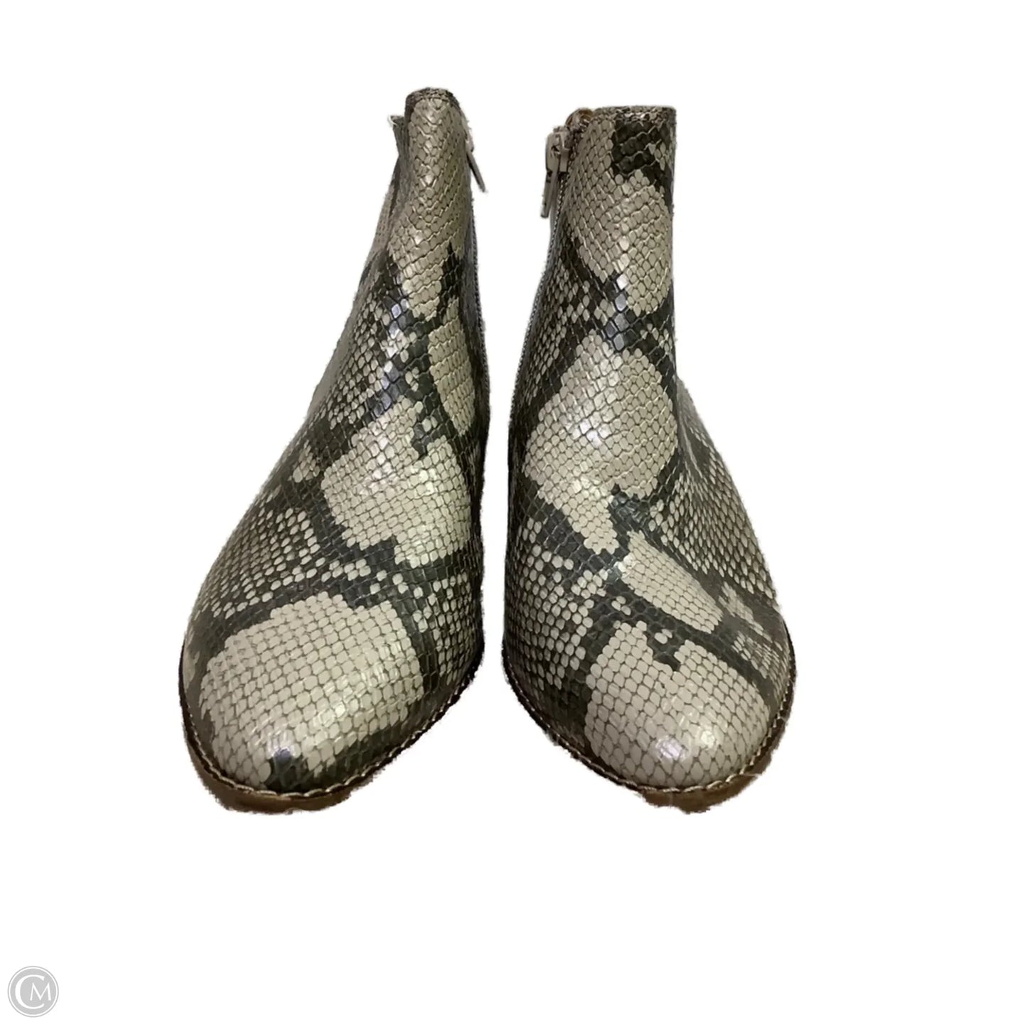Boots Ankle Heels By Lucky Brand In Snakeskin Print, Size: 6