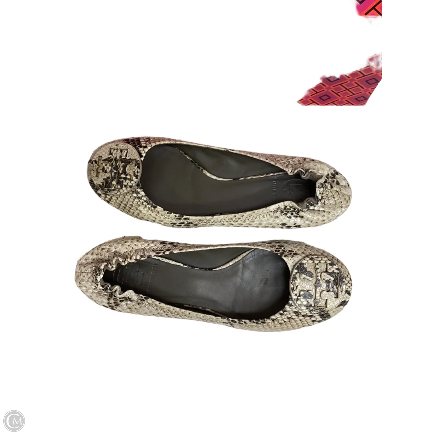 Shoes Designer By Tory Burch In Snakeskin Print, Size: 6
