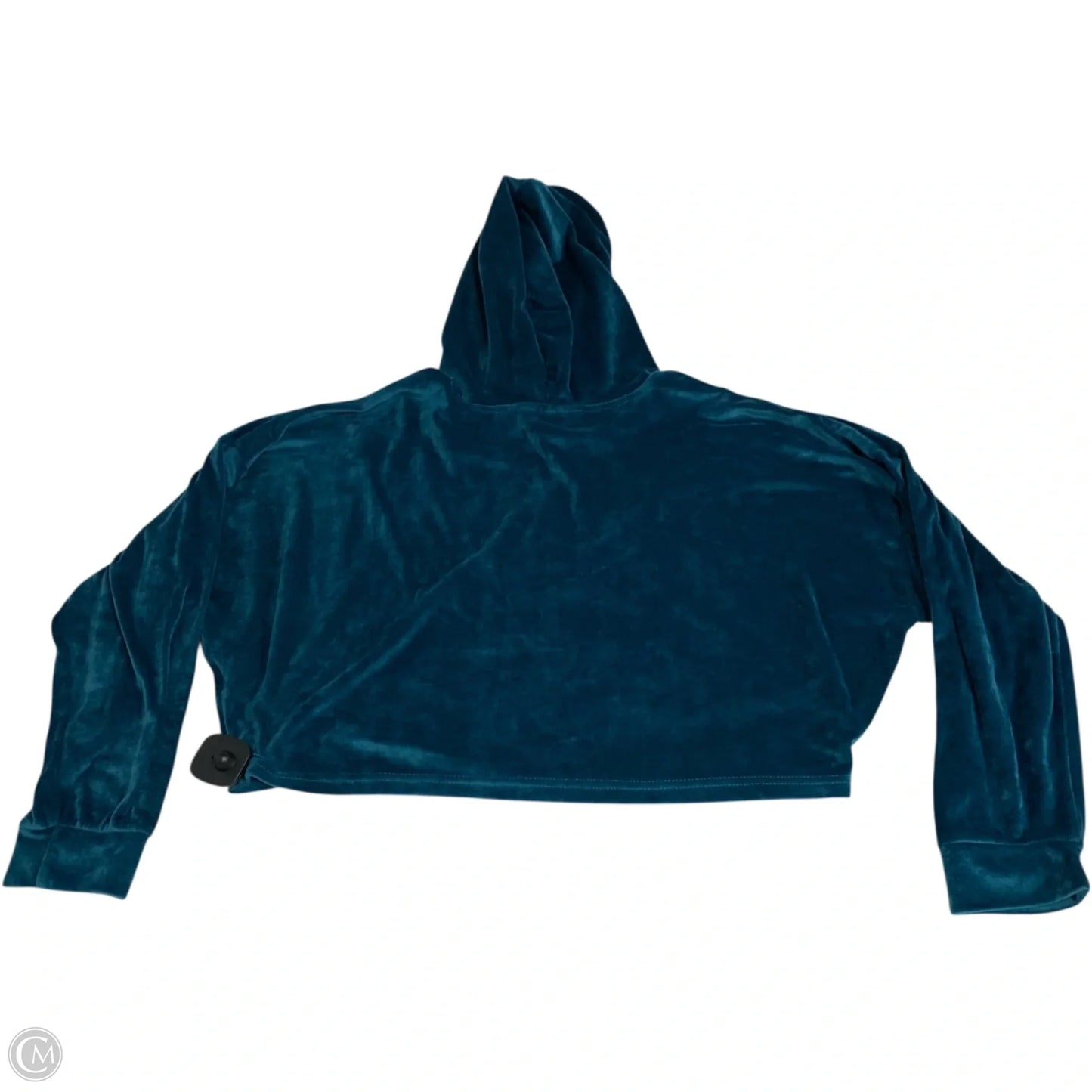 Sweatshirt Hoodie By Juicy Couture In Blue, Size: M