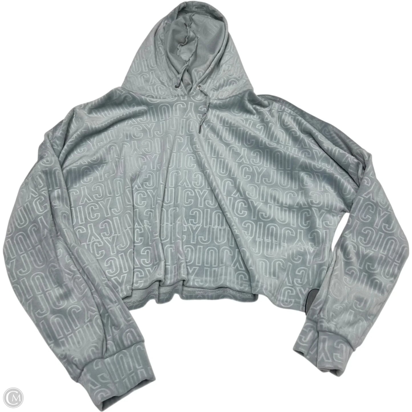 Sweatshirt Hoodie By Juicy Couture In Blue, Size: L