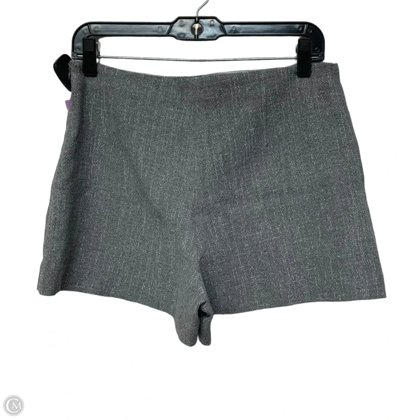 Skort By Zara In Silver, Size: S