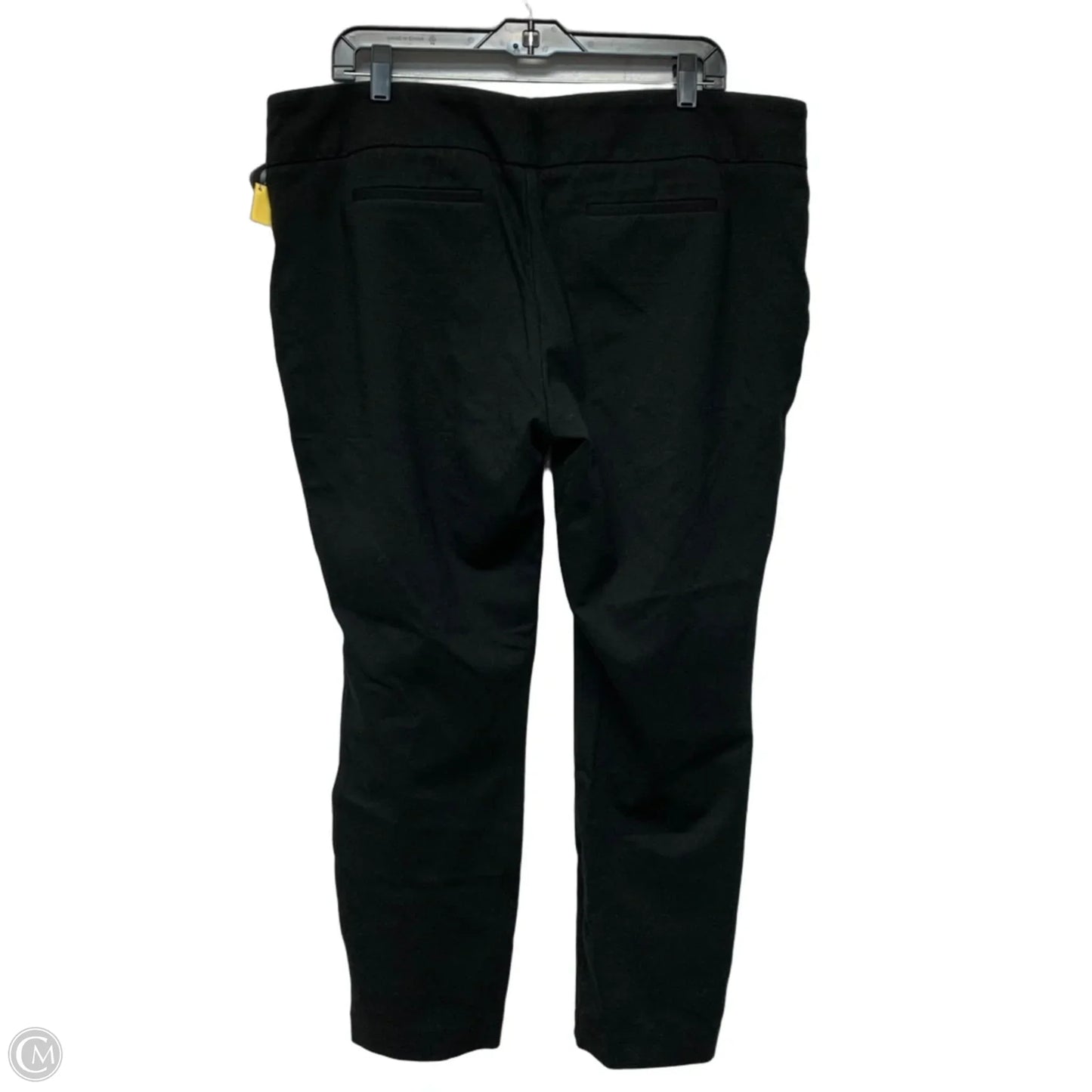 Pants Leggings By Dalia In Black, Size: Xxl
