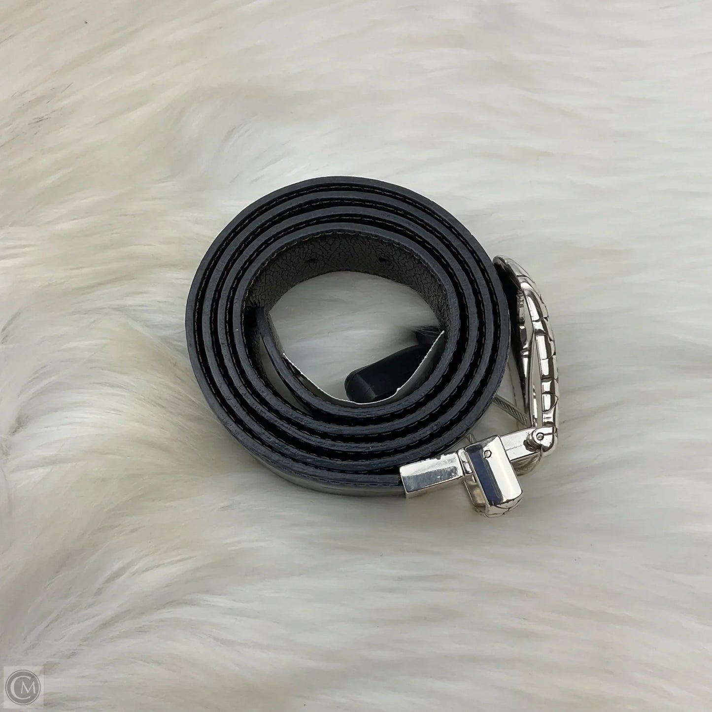 Belt By Brighton
