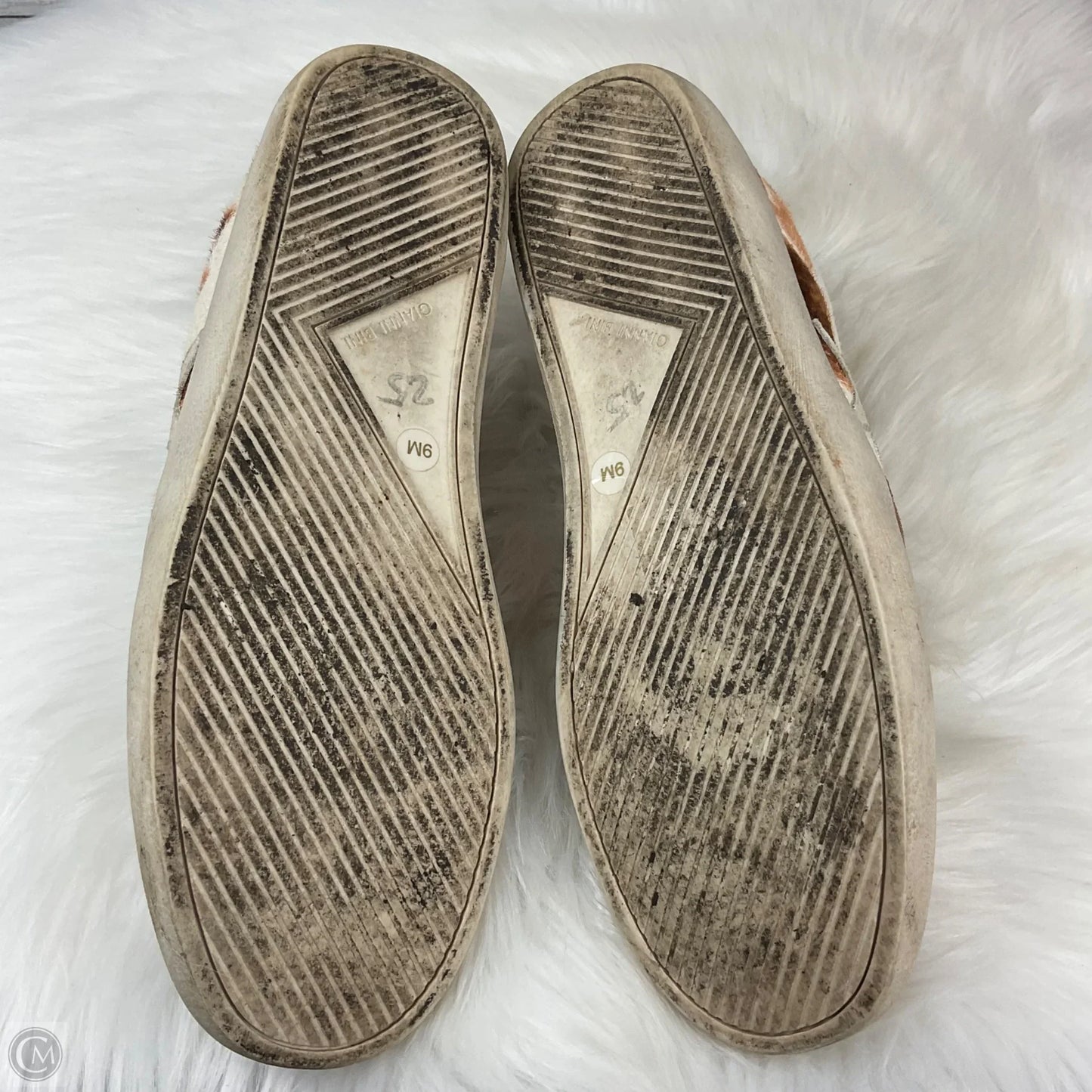 Shoes Sneakers By Gianni Bini In Animal Print, Size: 9