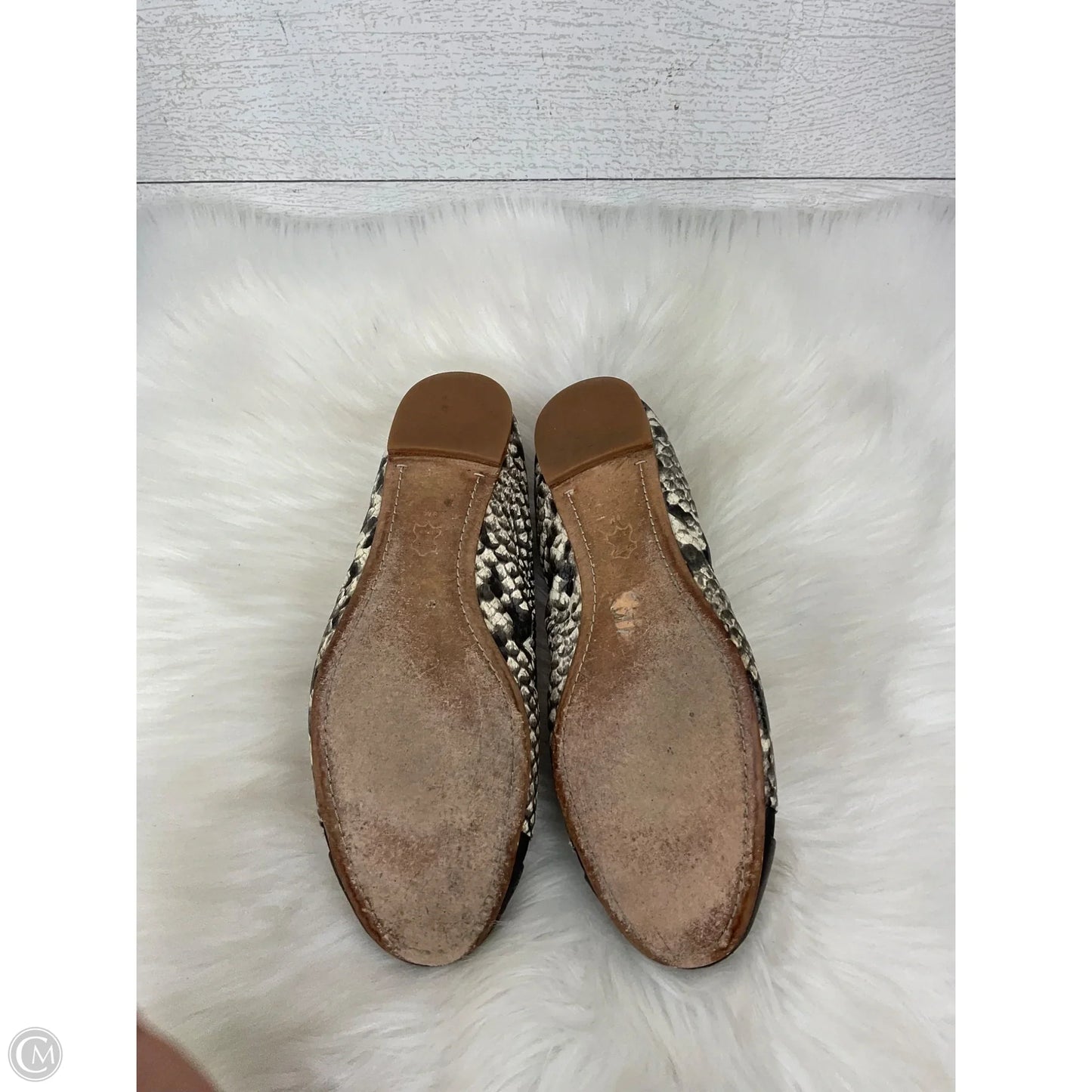 Shoes Designer By Tory Burch In Snakeskin Print, Size: 9