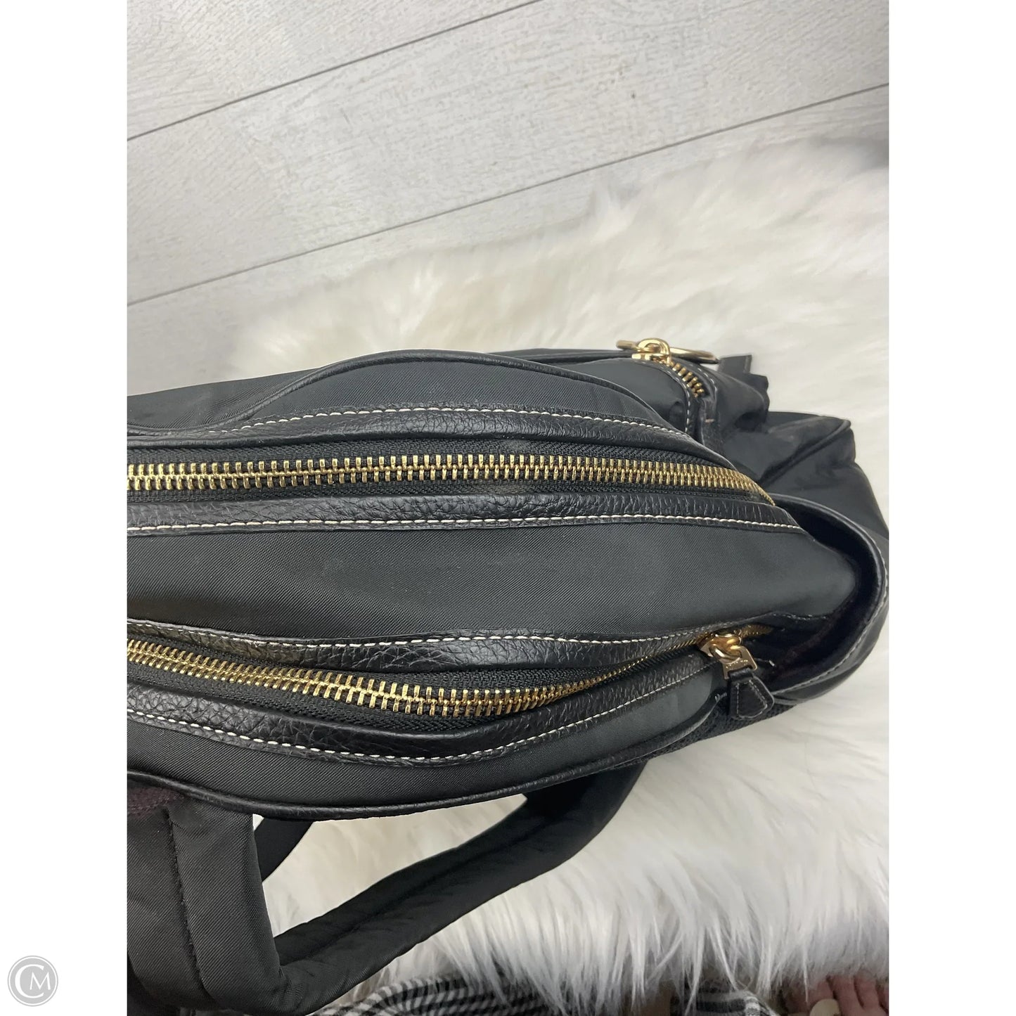 Backpack Designer By Coach, Size: Medium