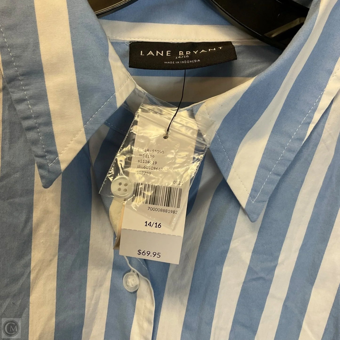 Top Long Sleeve By Lane Bryant In Blue & White, Size: Xl