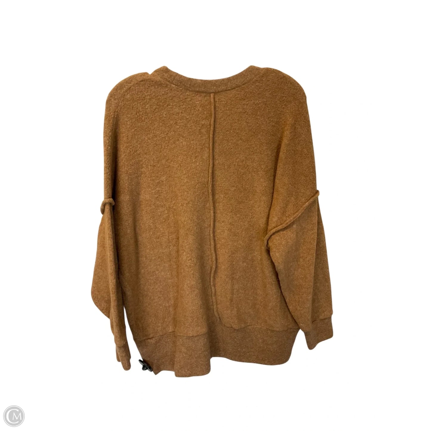 Top Long Sleeve By Zenana Outfitters In Tan, Size: S