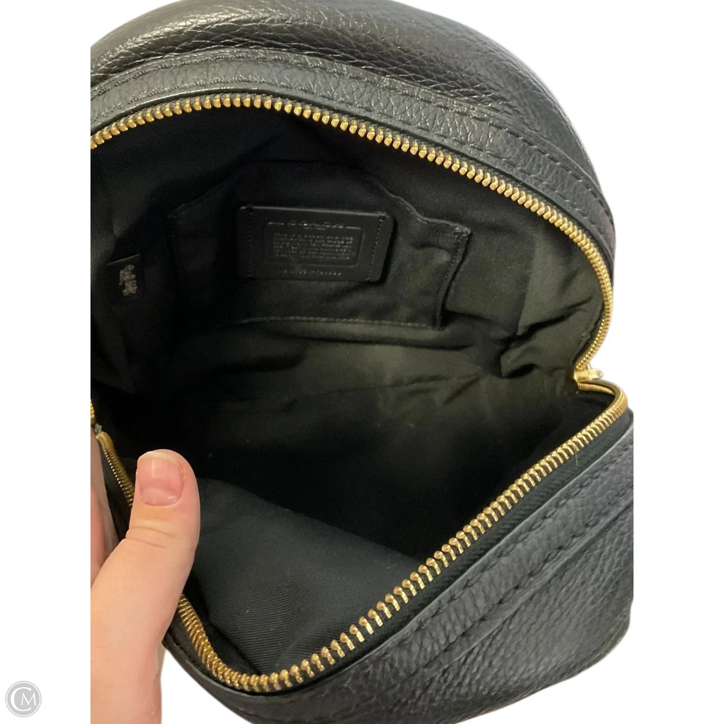 Backpack Designer By Coach, Size: Small