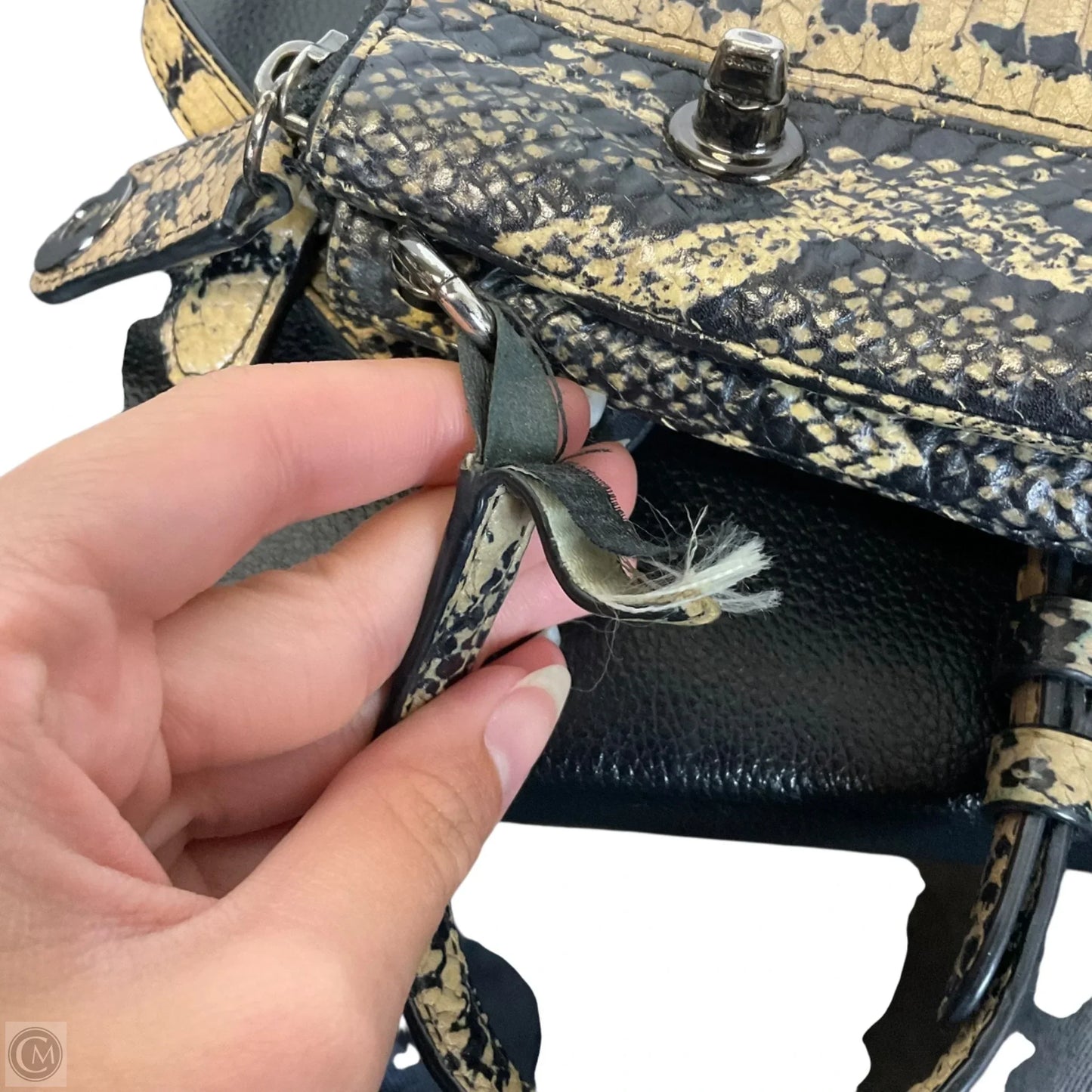 Crossbody Designer By Coach, Size: Medium