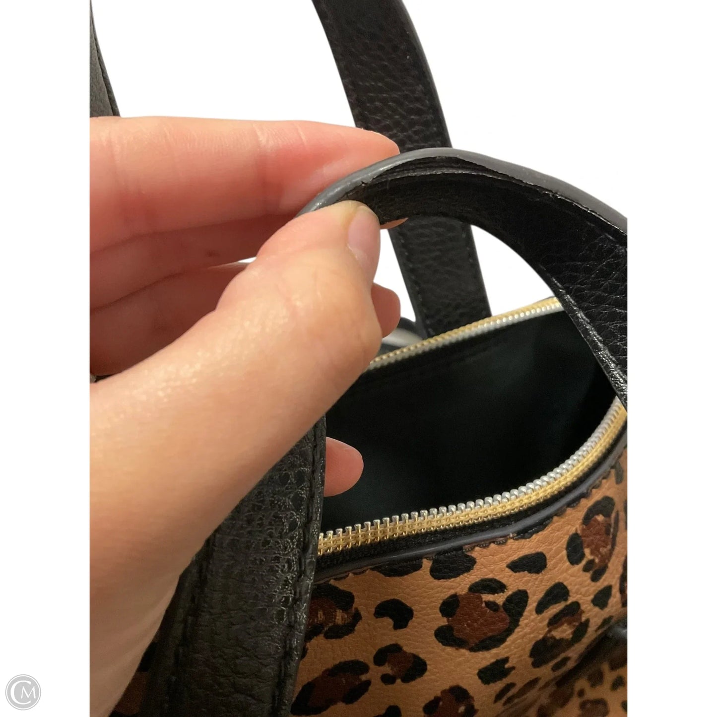 Crossbody By Fossil, Size: Medium