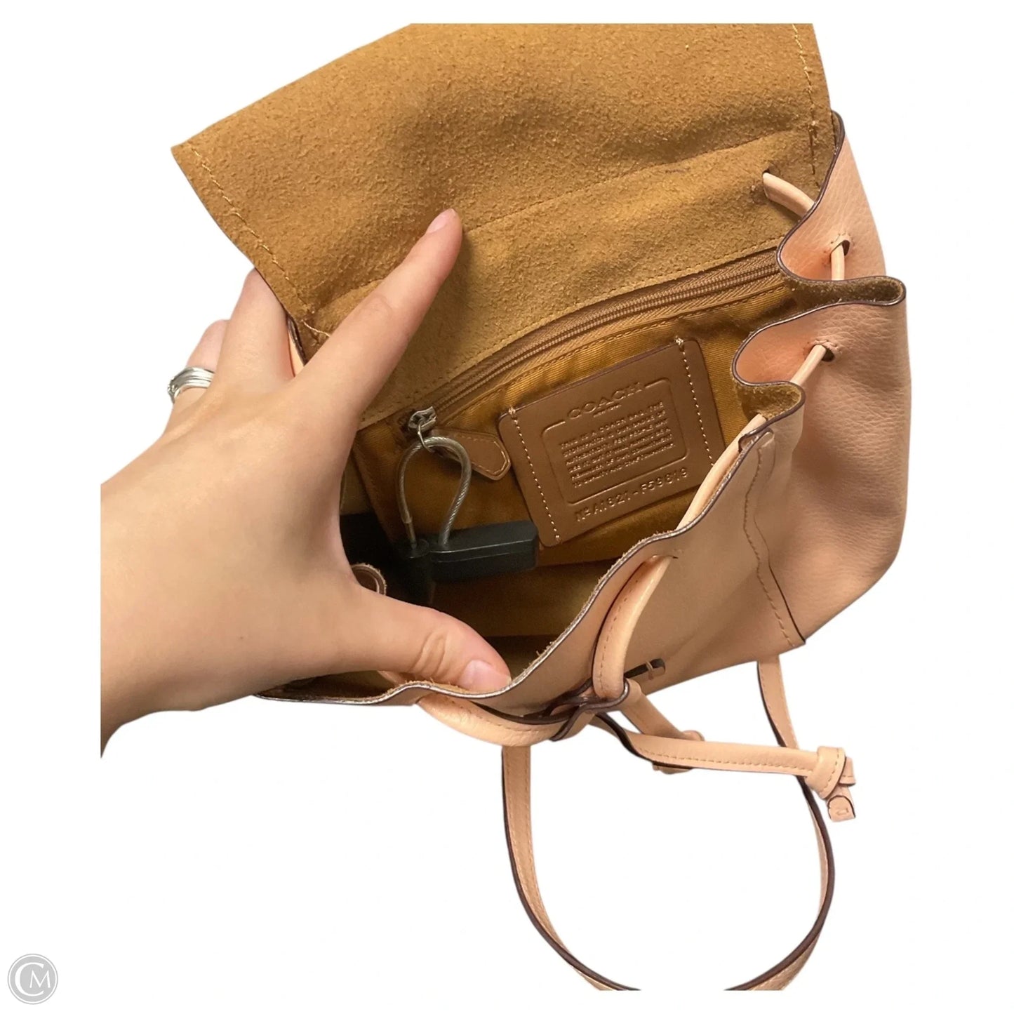 Backpack Designer By Coach, Size: Small