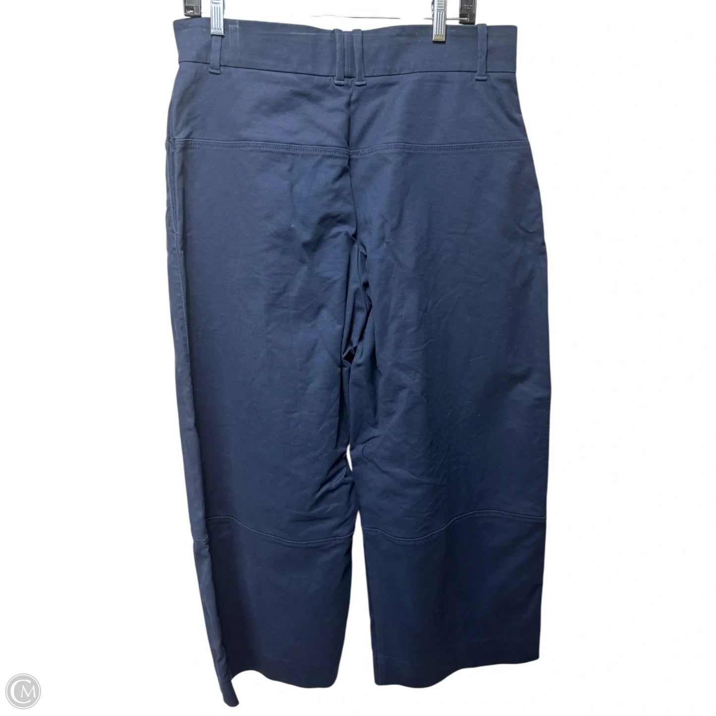 Pants Other By Everlane In Navy, Size: 14