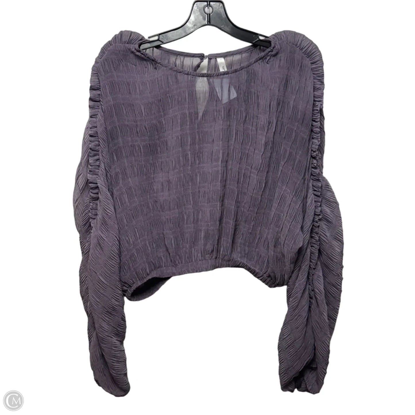 Sheer Textured Top Long Sleeve By Glam In Purple, Size: L
