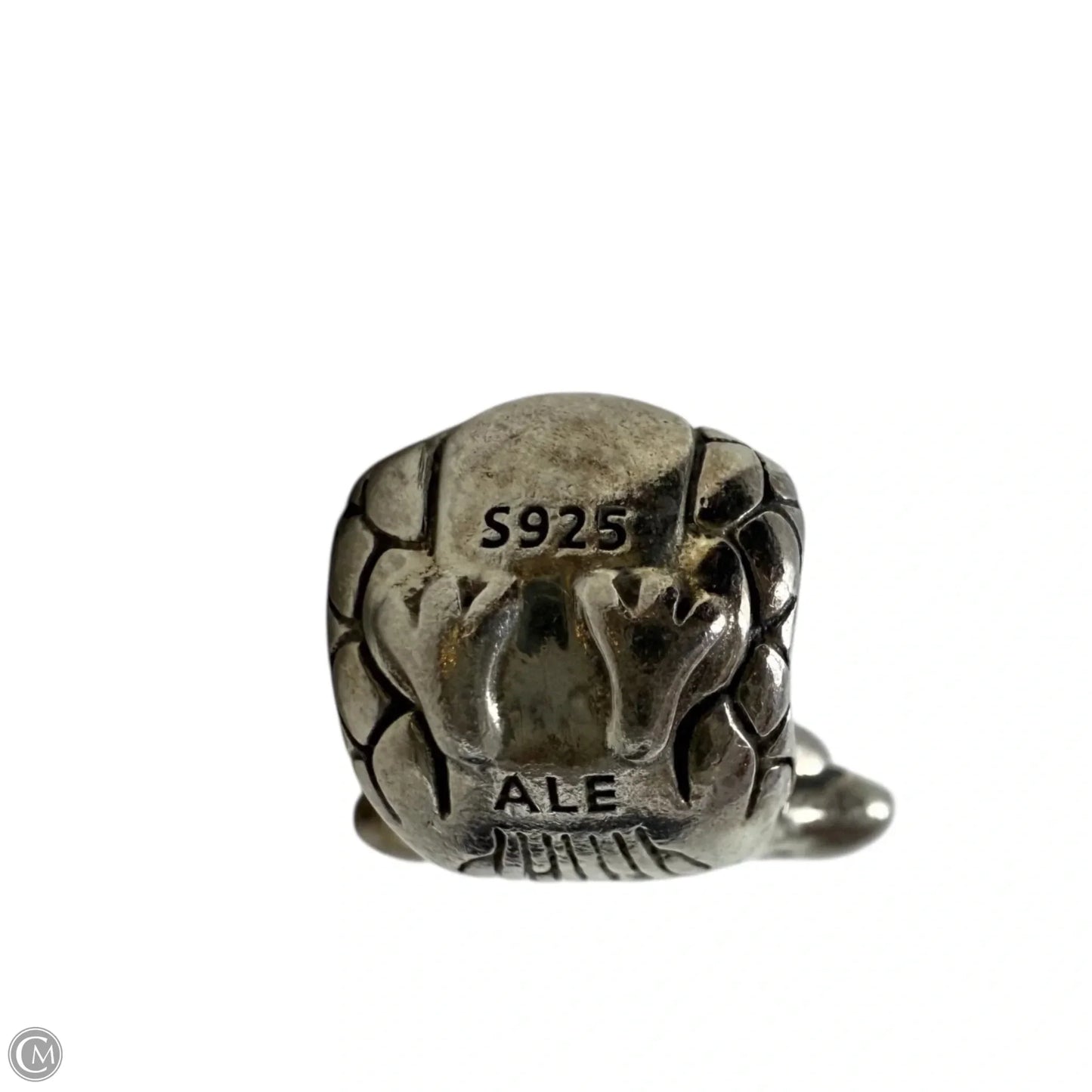 Peacock Jewelry Charm By Pandora
