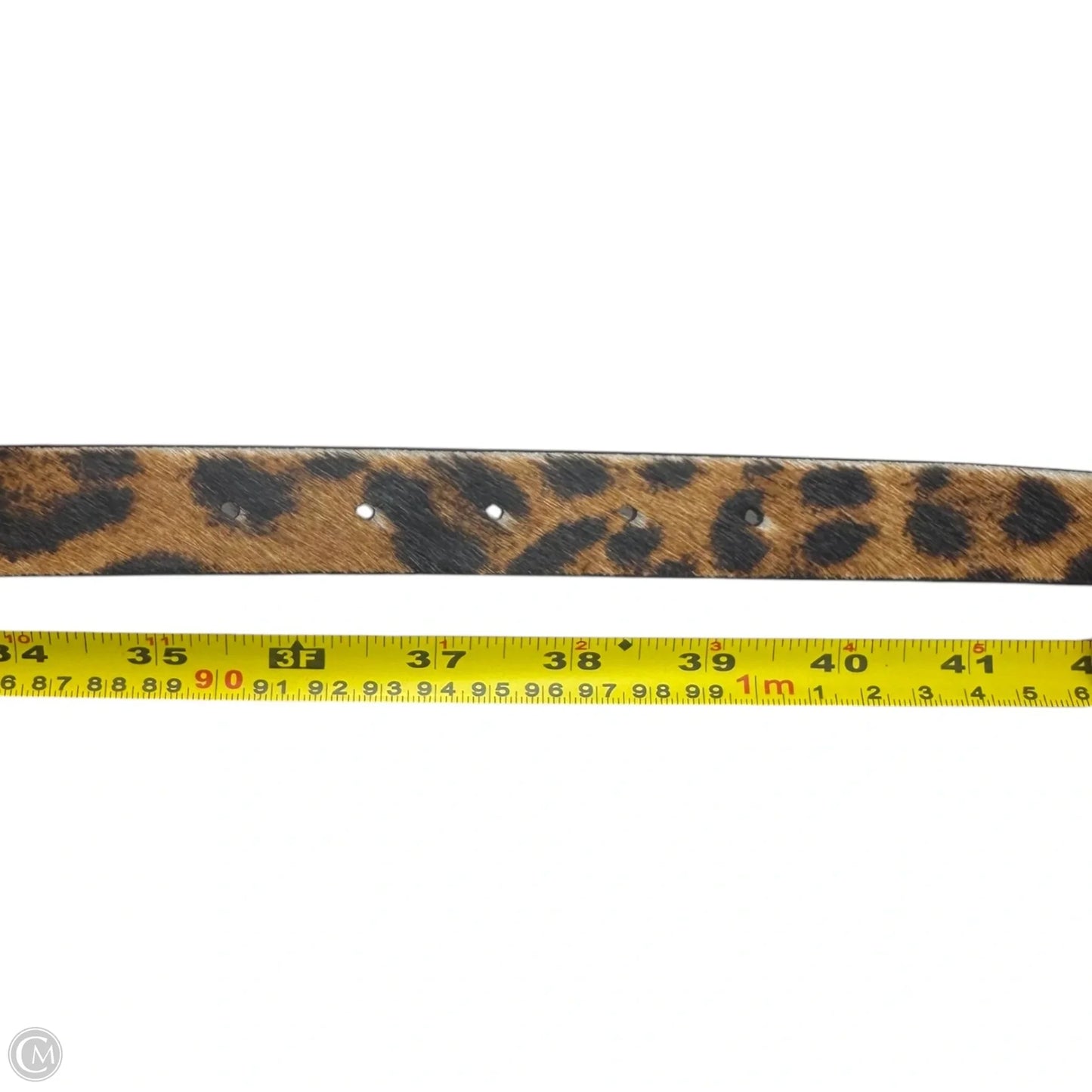 Leopard Belt Leather By Talbots, Size: Large