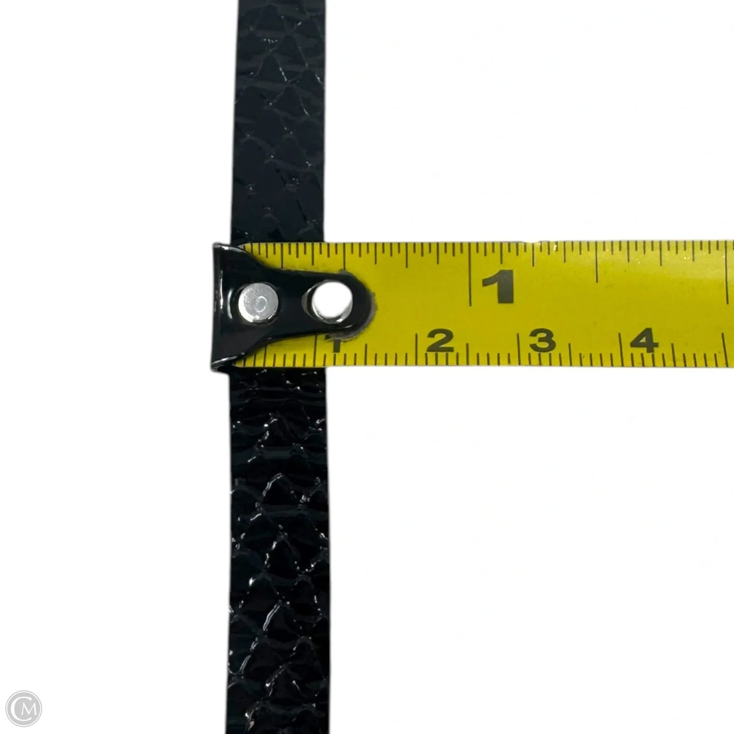 Slim Reptile Belt Designer By Madison Boinet, Size: Small