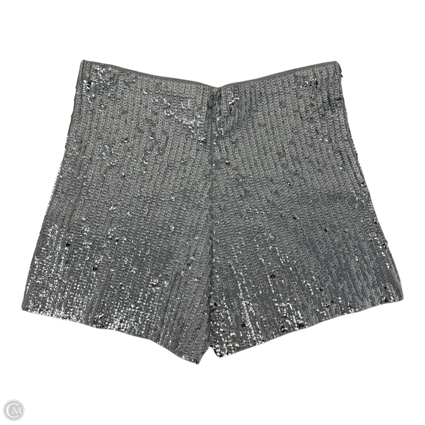 Shorts By J. Crew In Silver, Size: Xl
