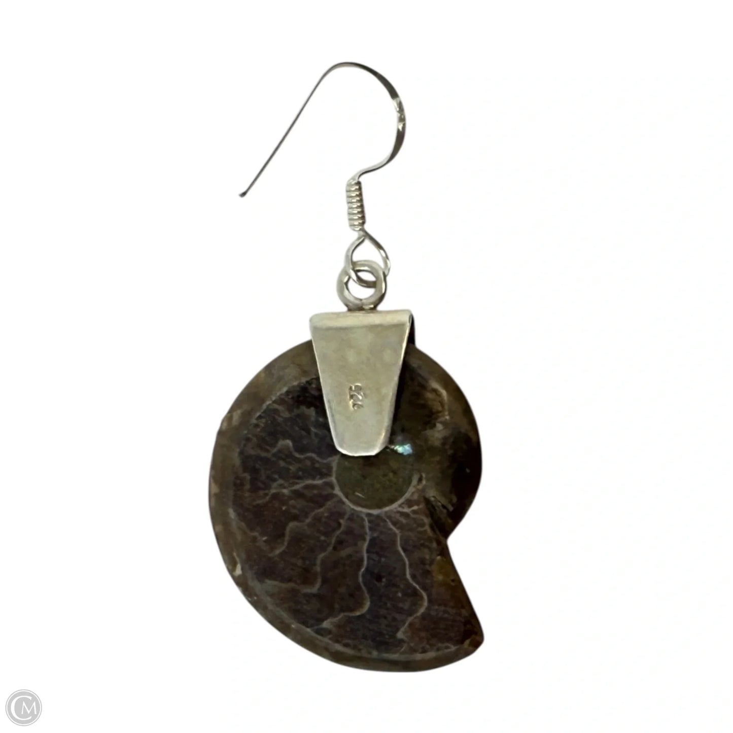 Sterling Silver & Ammonite Shell Dangle Earrings