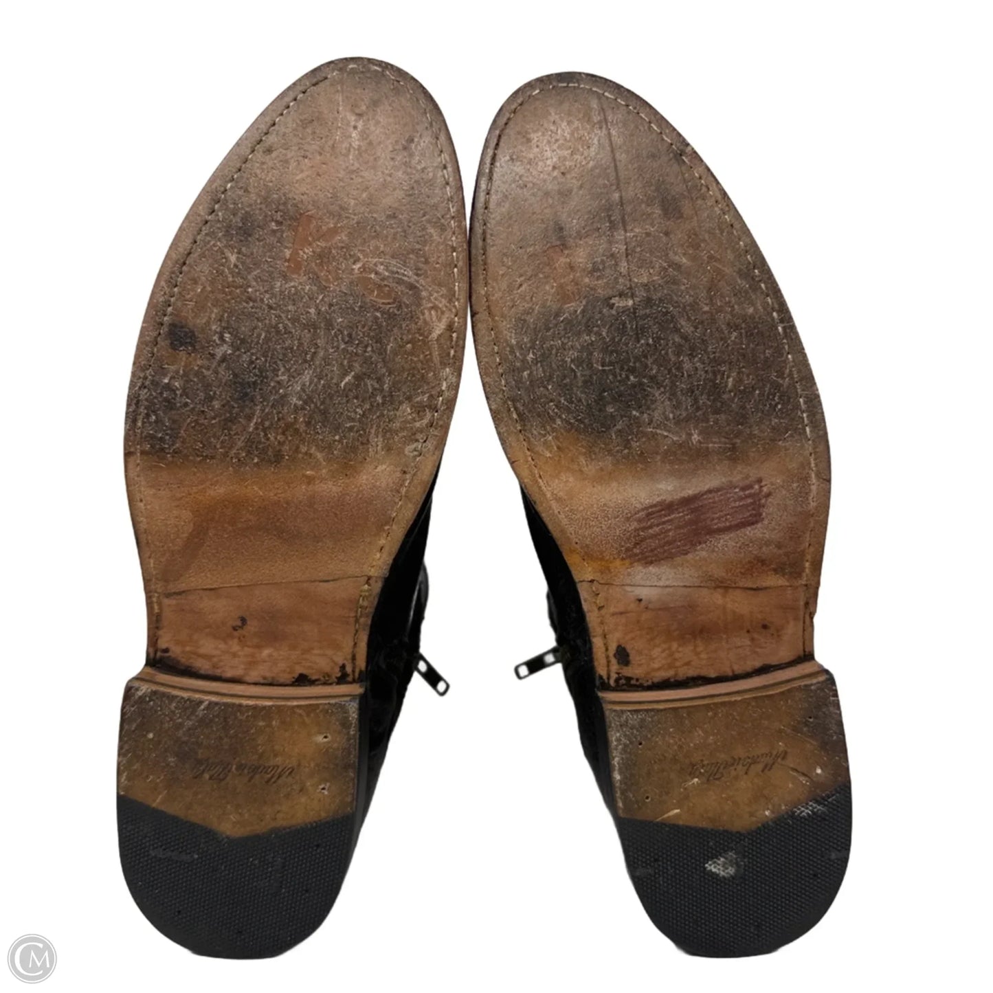 Jayden Cross Strap Moto Ankle Boots Designer By Frye In Black, Size: 10