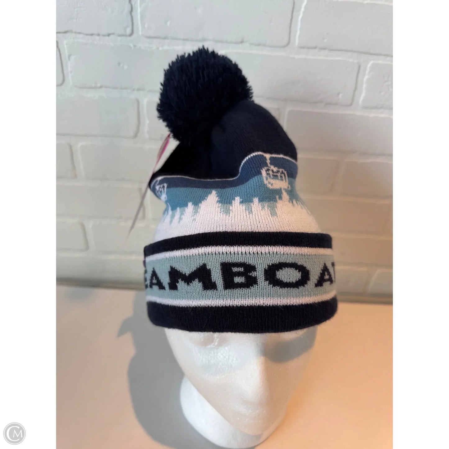 Hat Beanie By Clothes Mentor