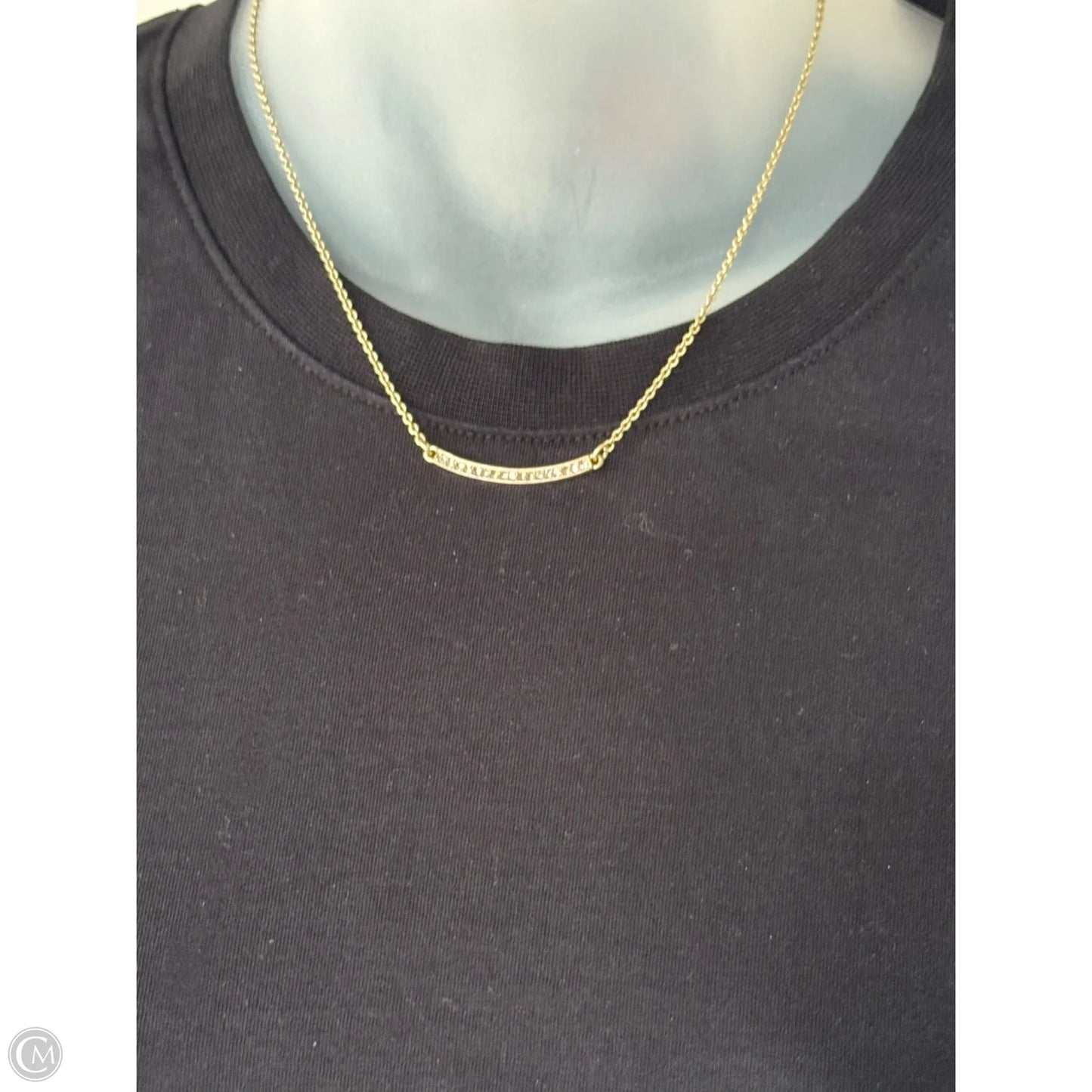 Necklace Chain By Lia Sophia