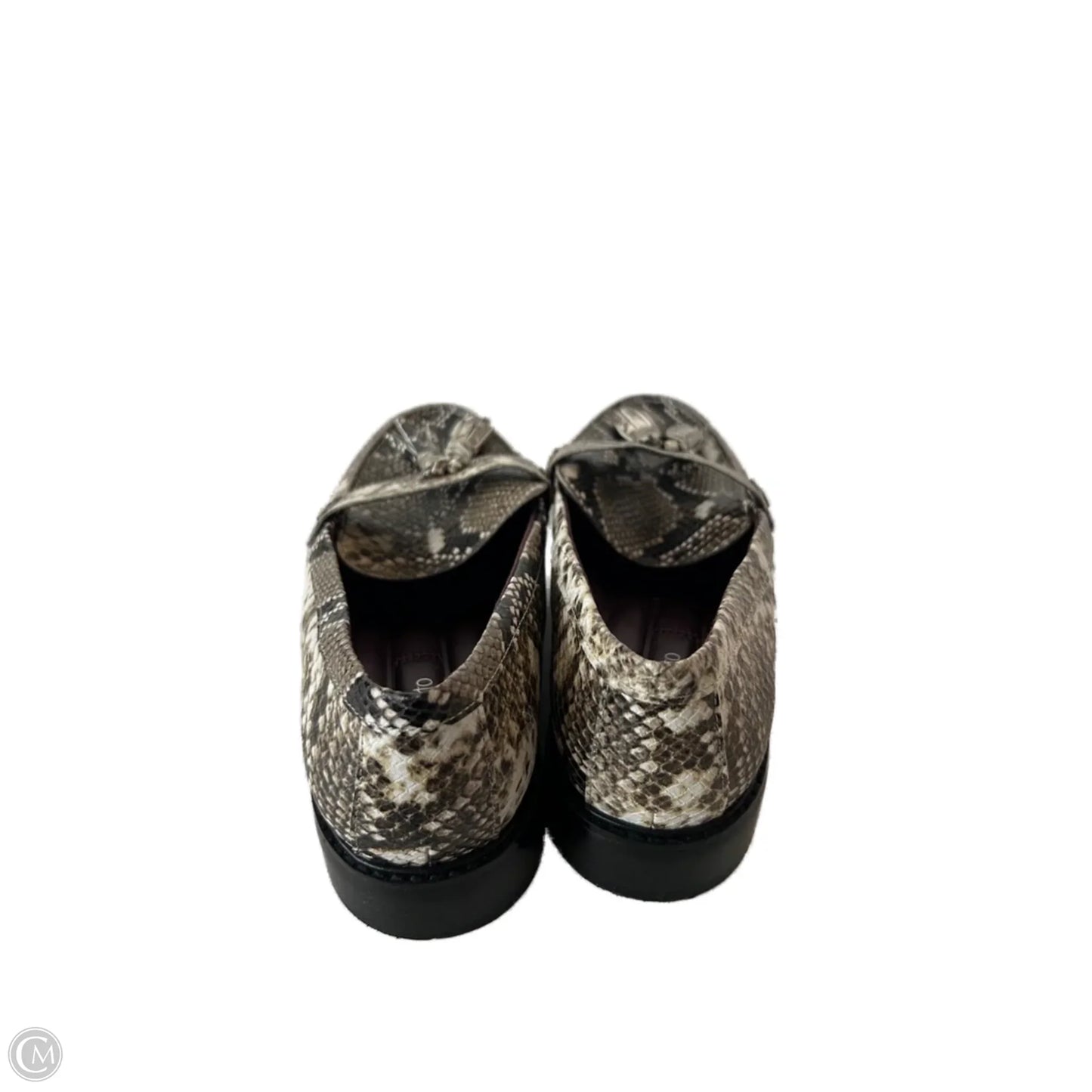 Shoes Flats By Franco Sarto In Snakeskin Print, Size: 9.5