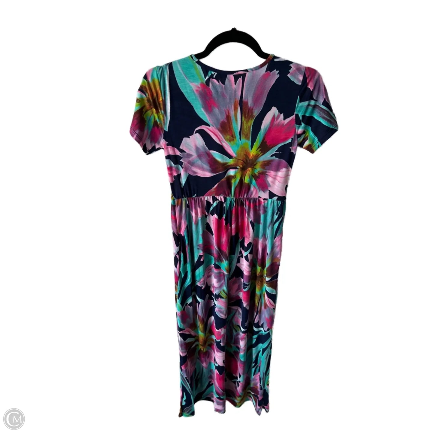 Dress Casual Maxi By Heimish Usa In Blue & Pink, Size: L