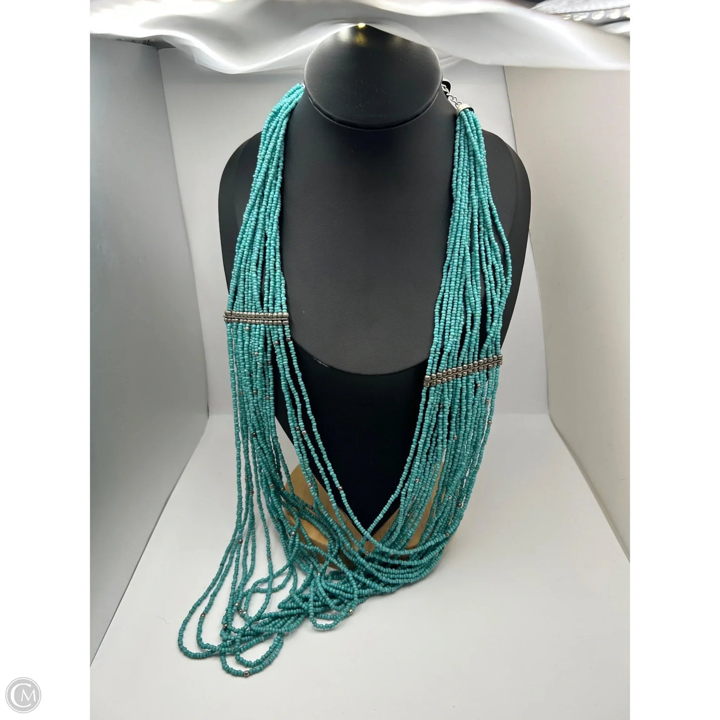 Necklace Layered By Clothes Mentor