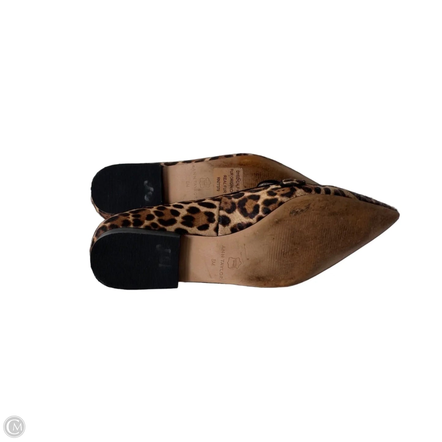 Shoes Flats By Ann Taylor In Animal Print, Size: 8