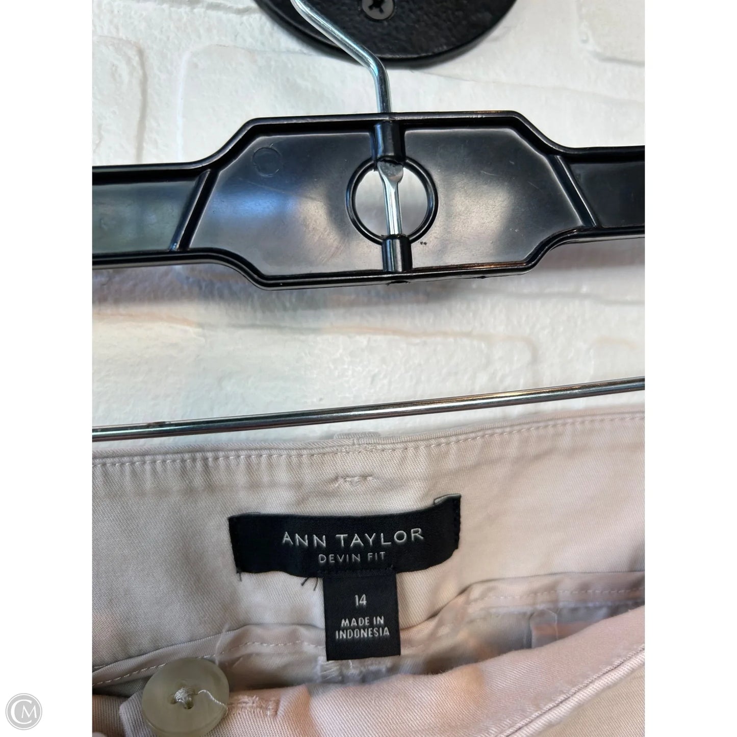 Shorts By Ann Taylor In Tan, Size: 14