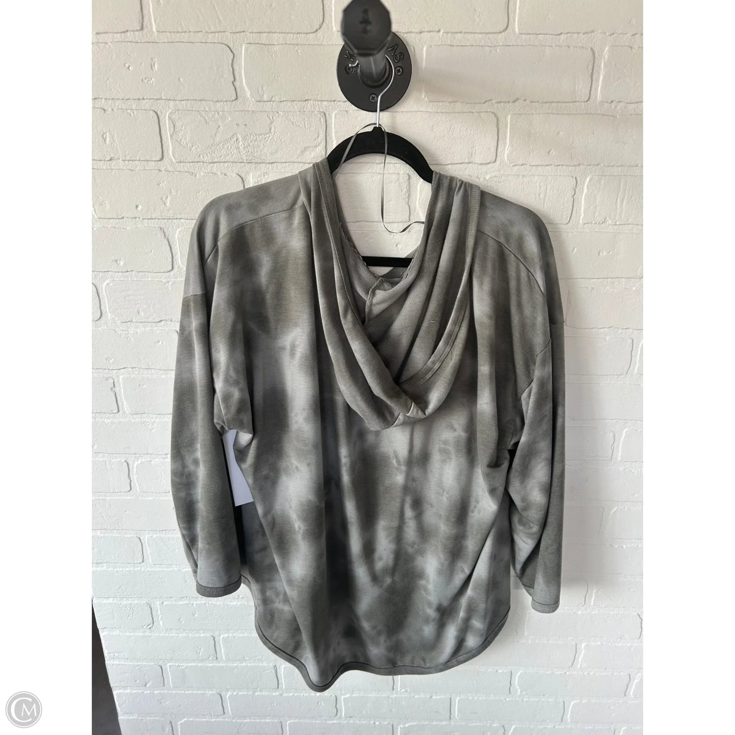 Top Long Sleeve By Cupio In Grey, Size: 2x