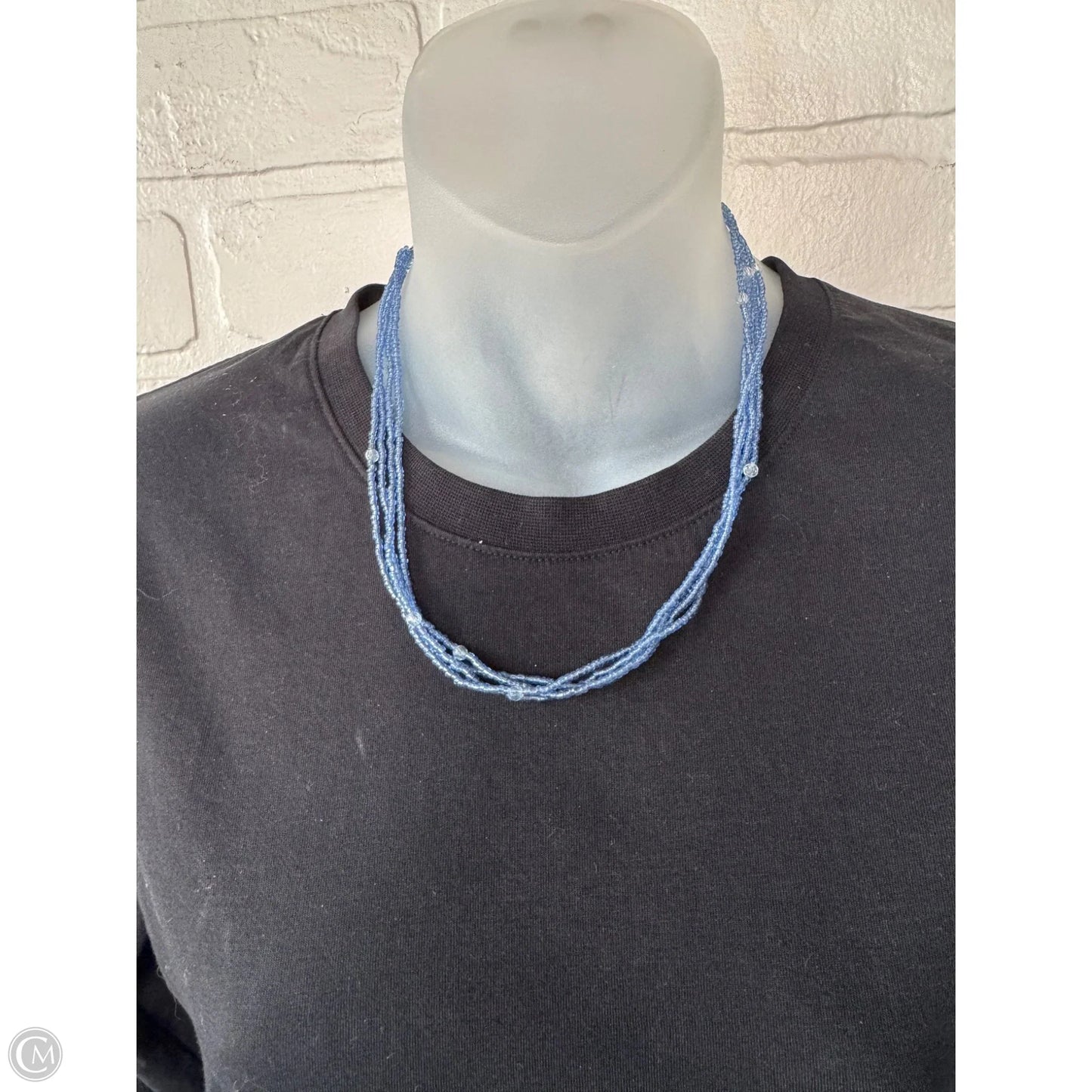 Necklace Layered By Clothes Mentor
