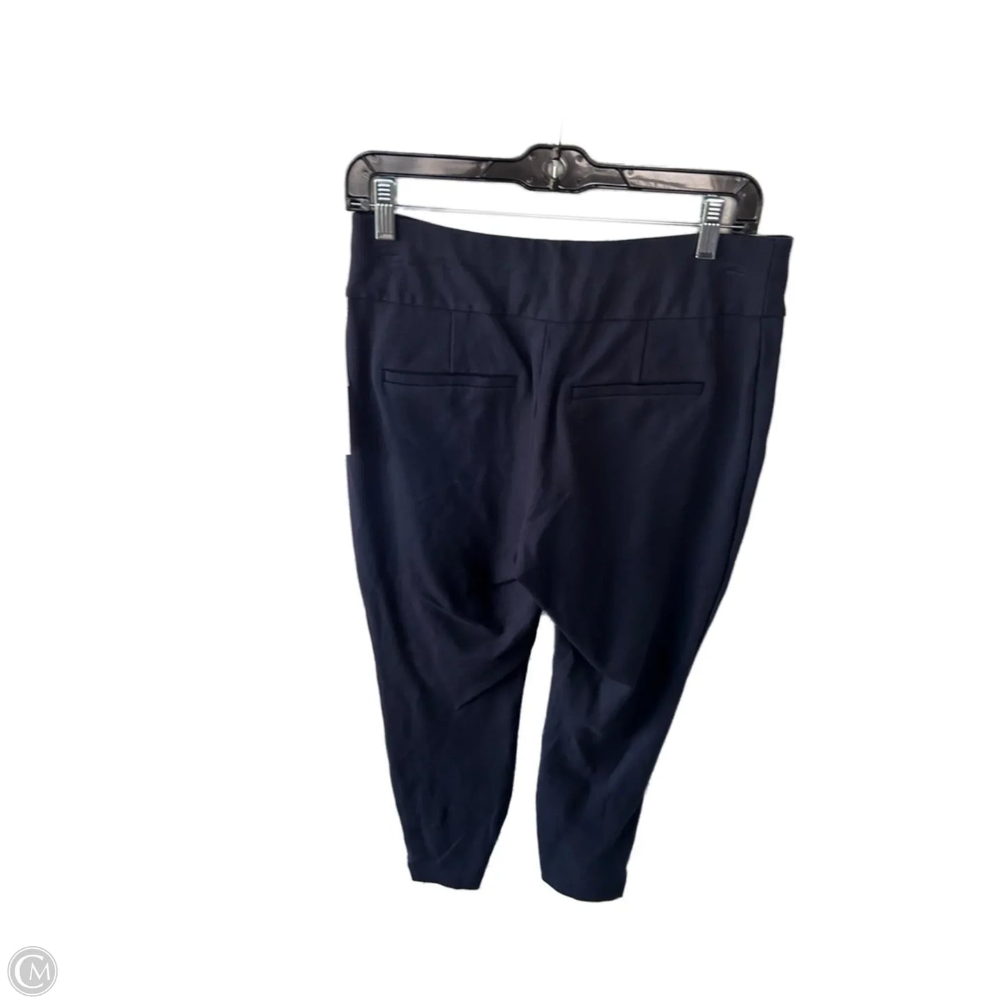 Pants Other By Express In Blue, Size: 8