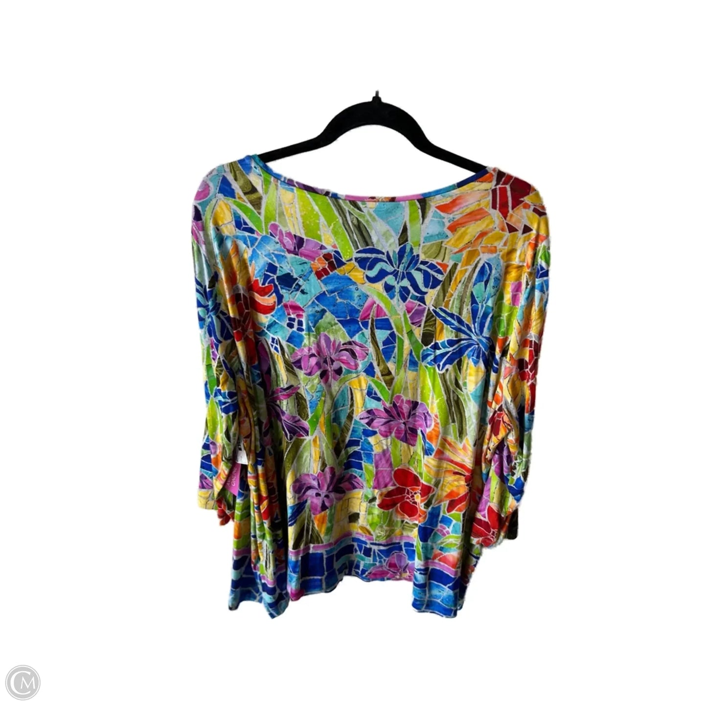 Top Long Sleeve By Ali Miles In Blue & Green, Size: 2x