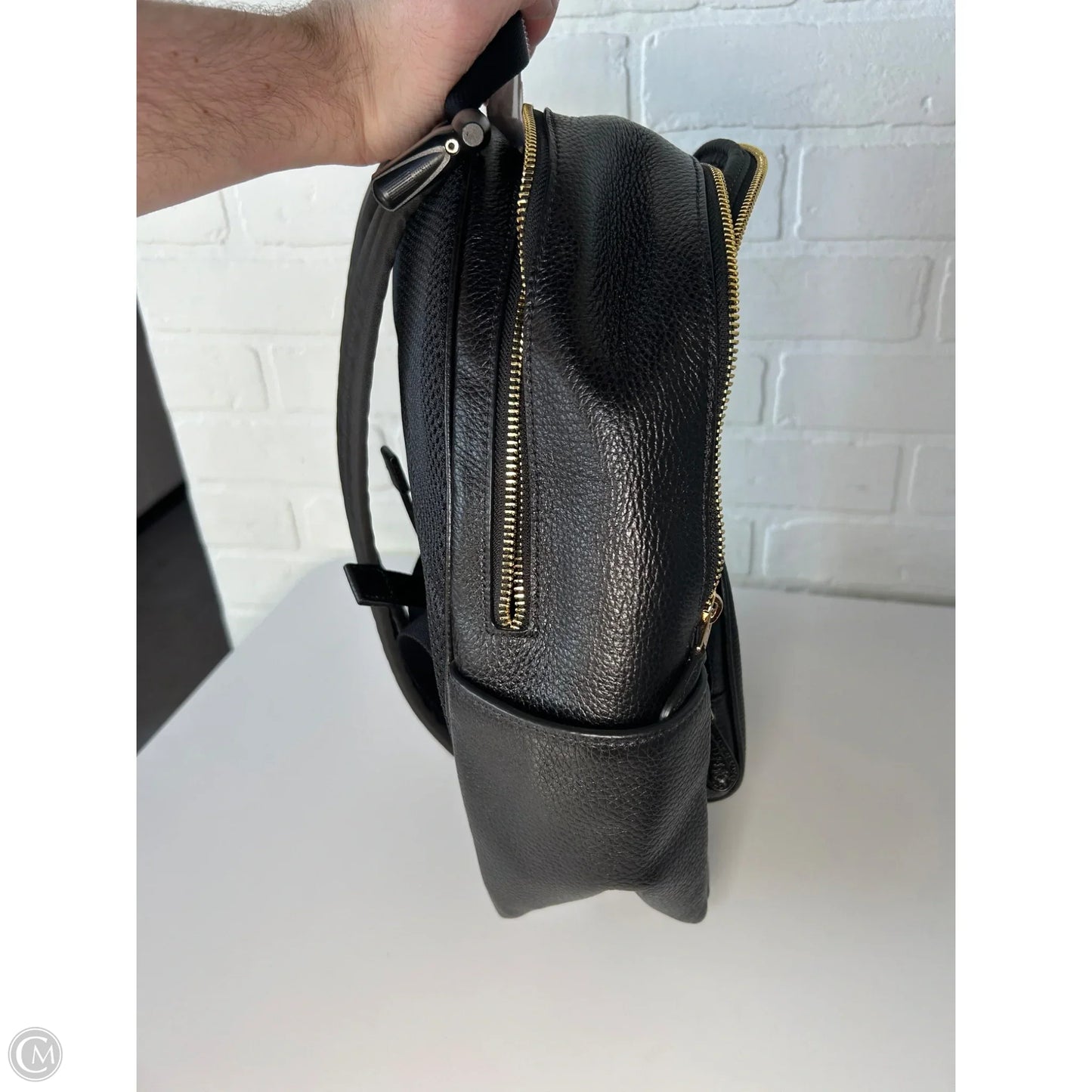 Backpack Designer By Coach, Size: Medium