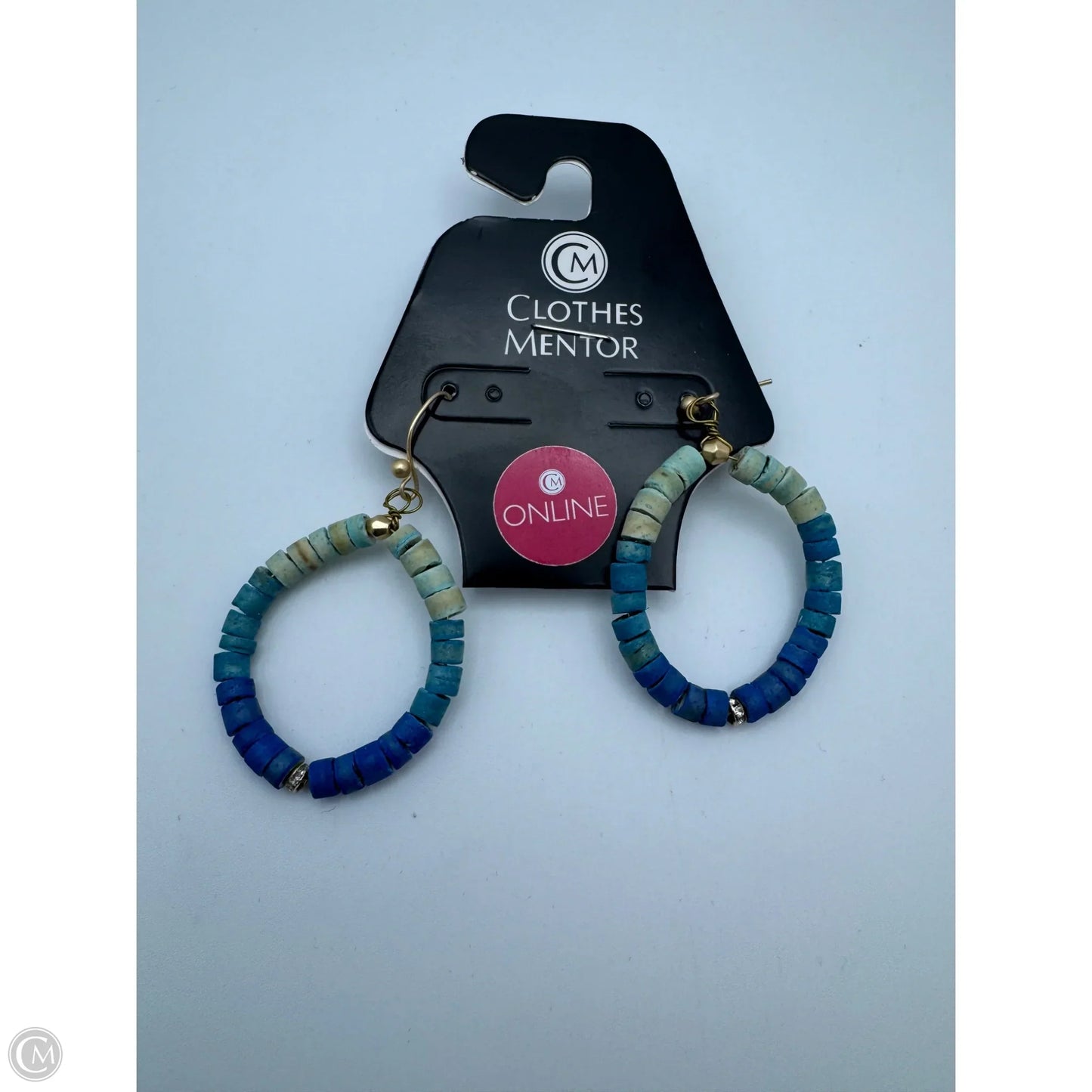 Earrings Dangle/drop By Chicos
