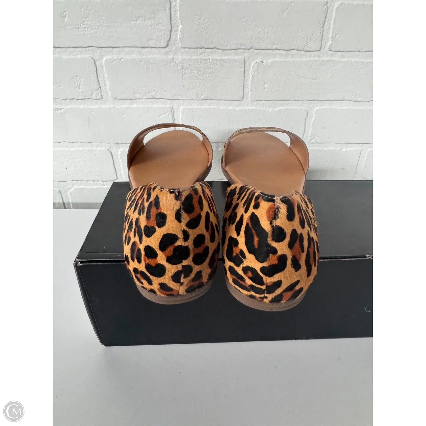 Sandals Flats By J. Crew In Animal Print, Size: 10