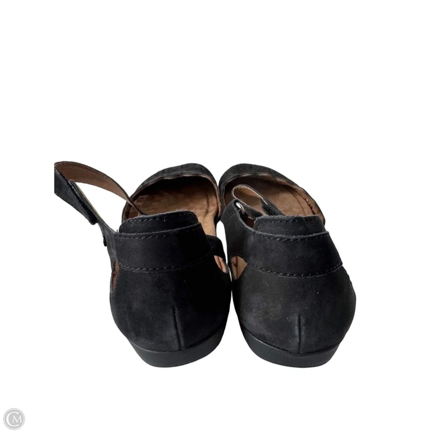 Shoes Flats By Earth Origins In Black, Size: 11
