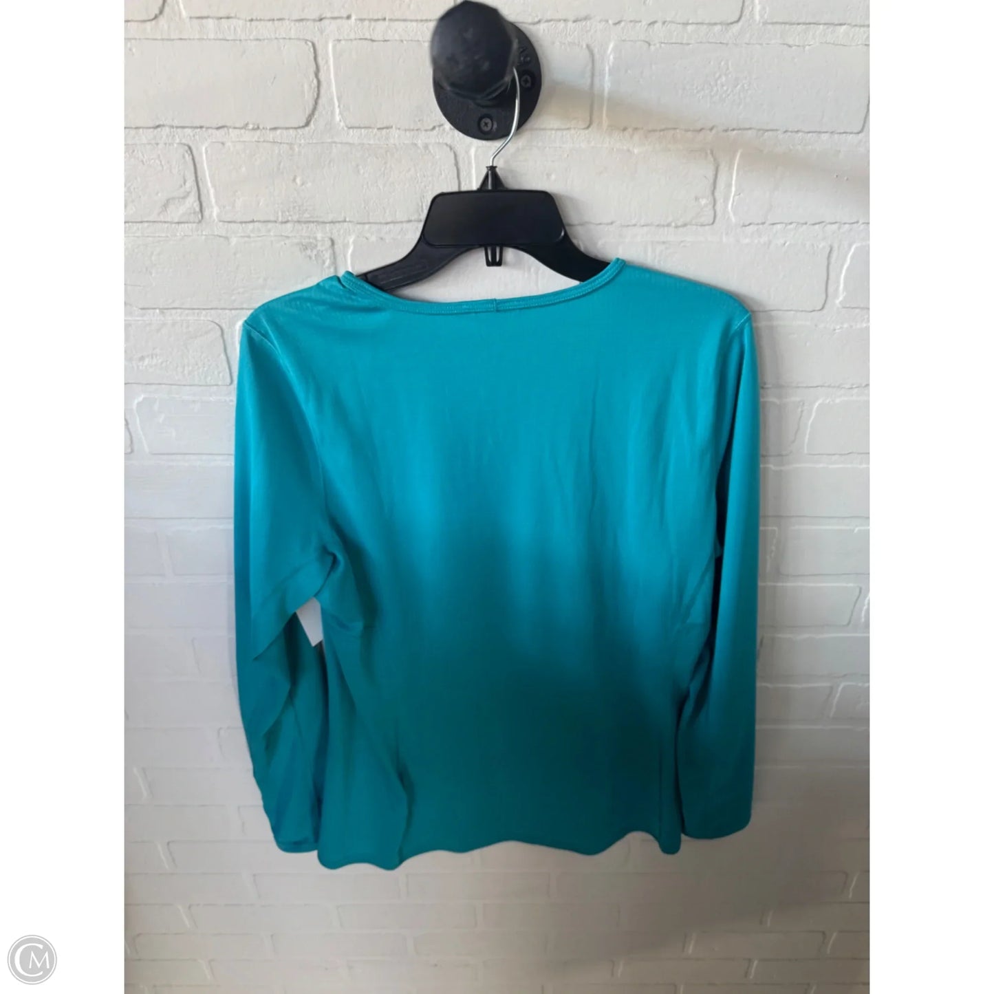 Athletic Top Long Sleeve Crewneck By Patagonia In Teal, Size: L