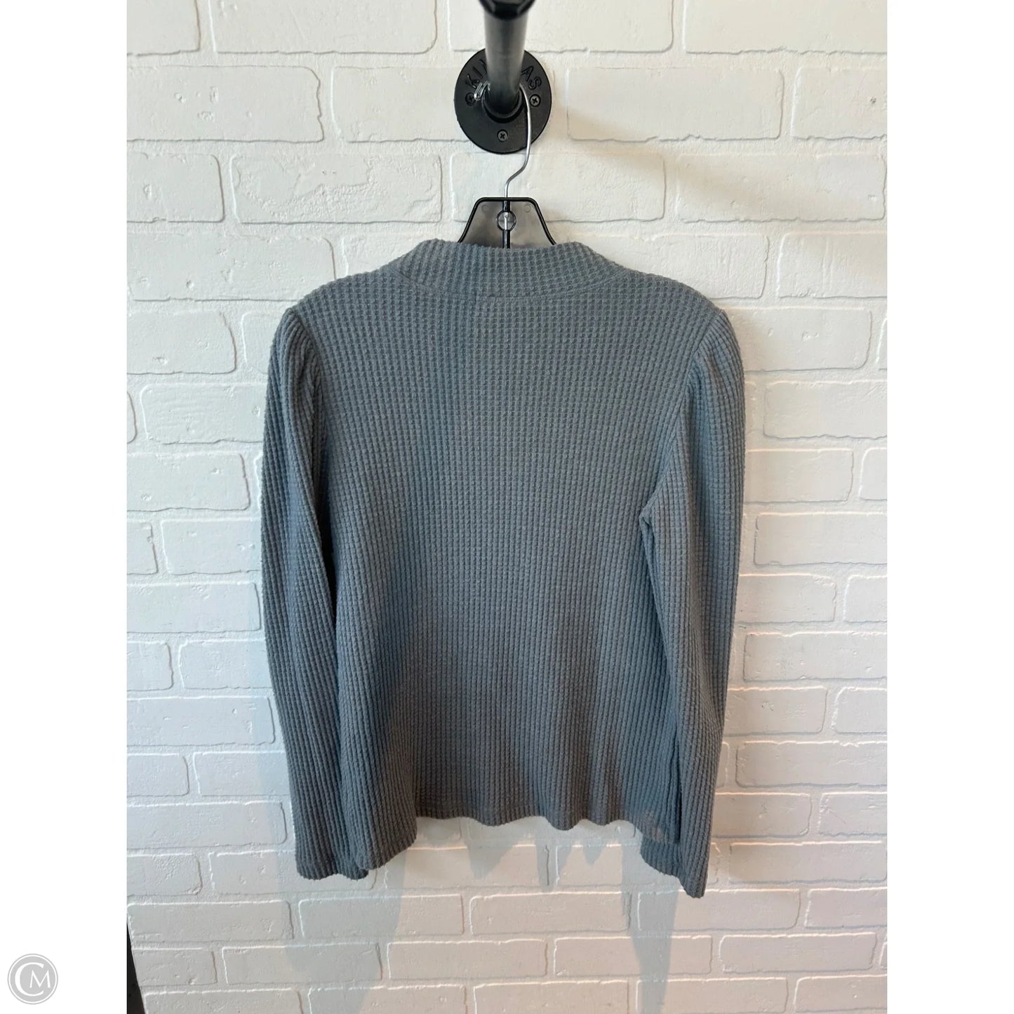 Top Long Sleeve By Z Supply In Grey, Size: L