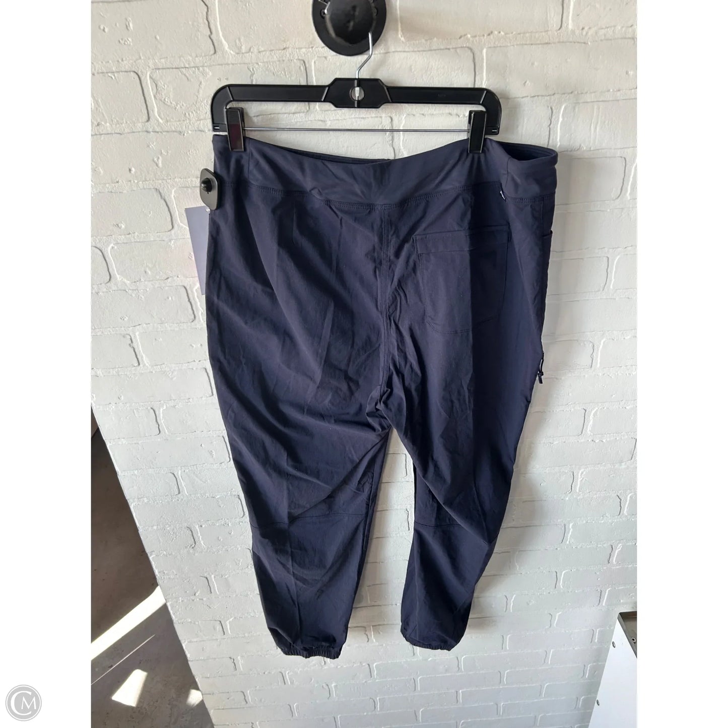 Athletic Pants By Patagonia In Navy, Size: 14