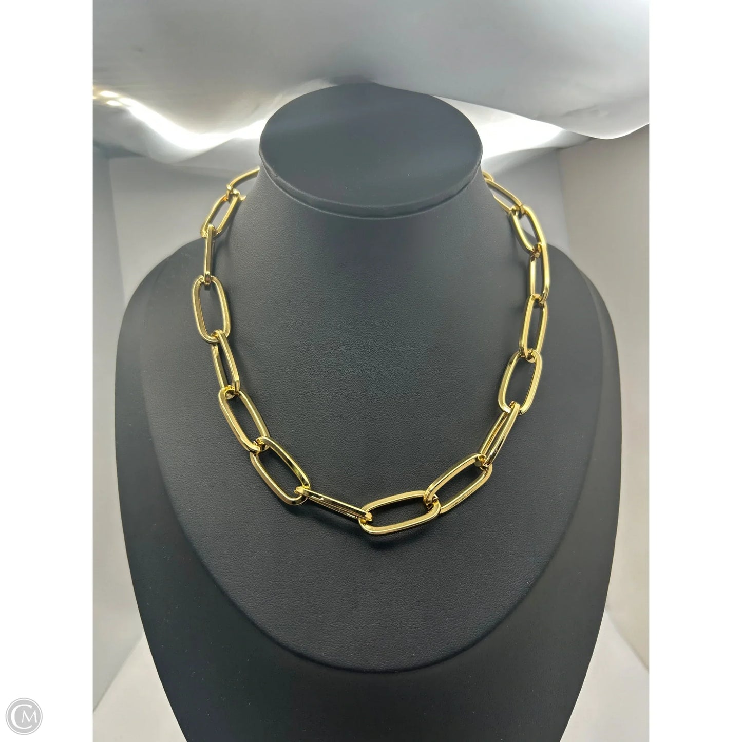 Necklace Chain By Clothes Mentor