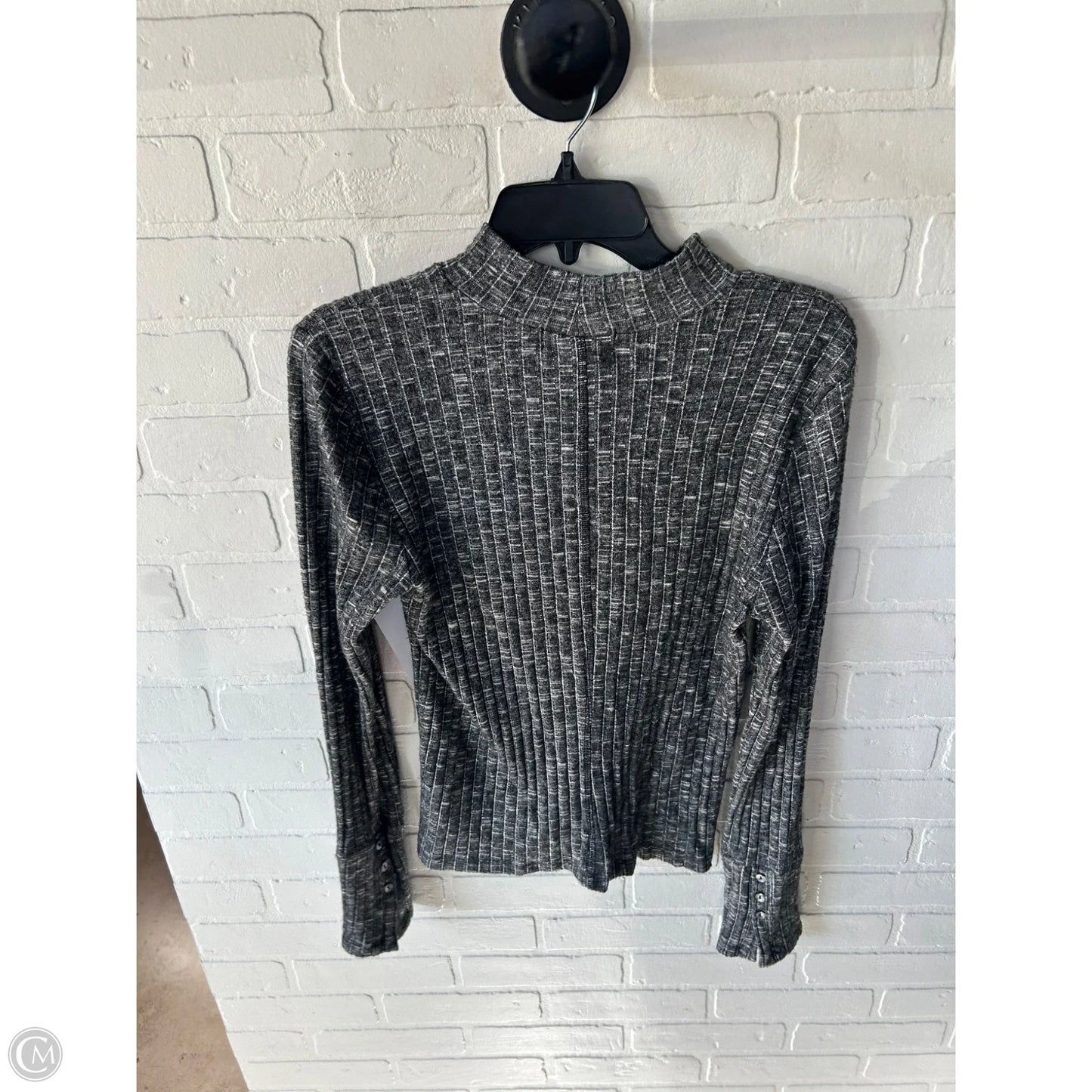 Top Long Sleeve By Michael Stars In Grey, Size: L
