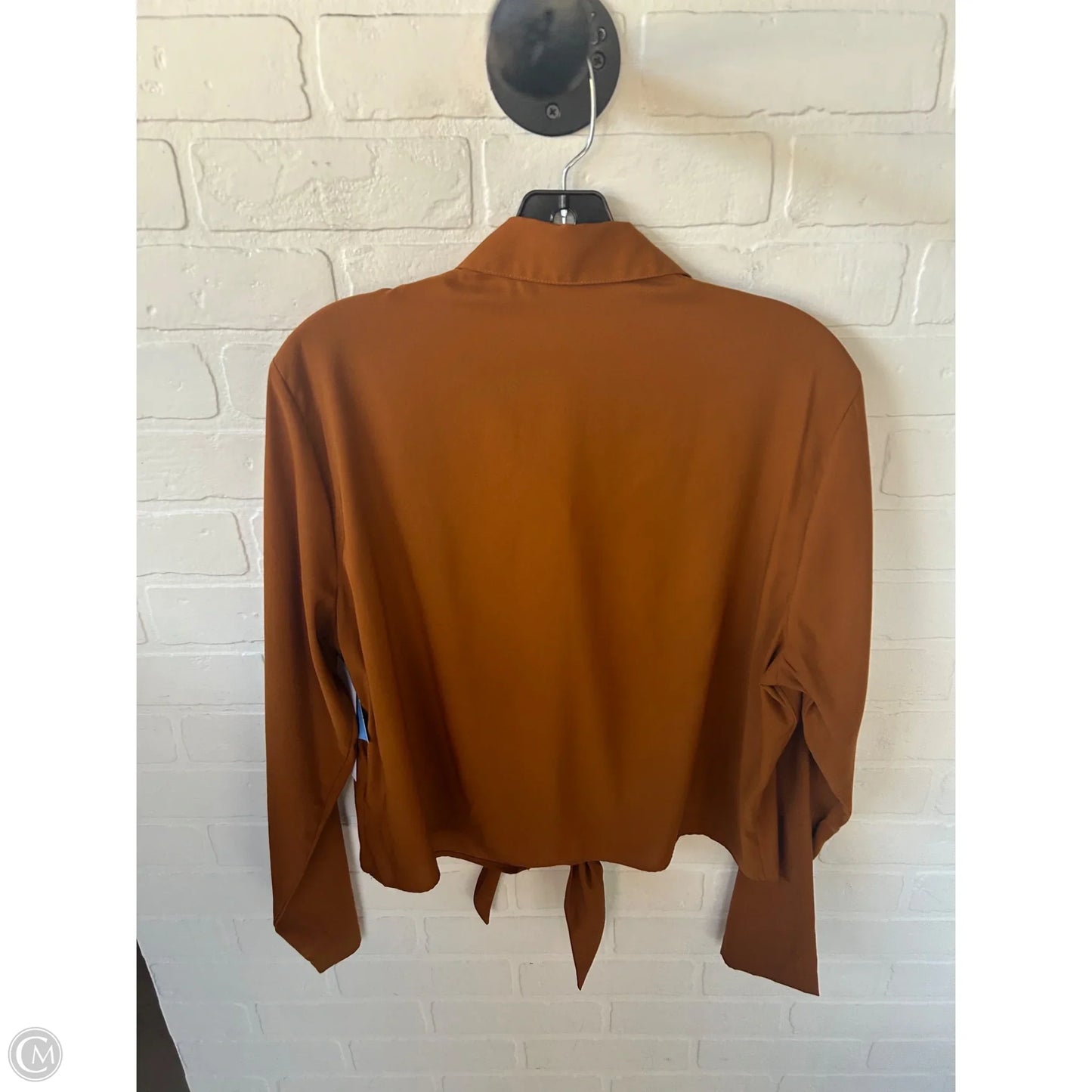 Top Long Sleeve By Express In Brown, Size: L