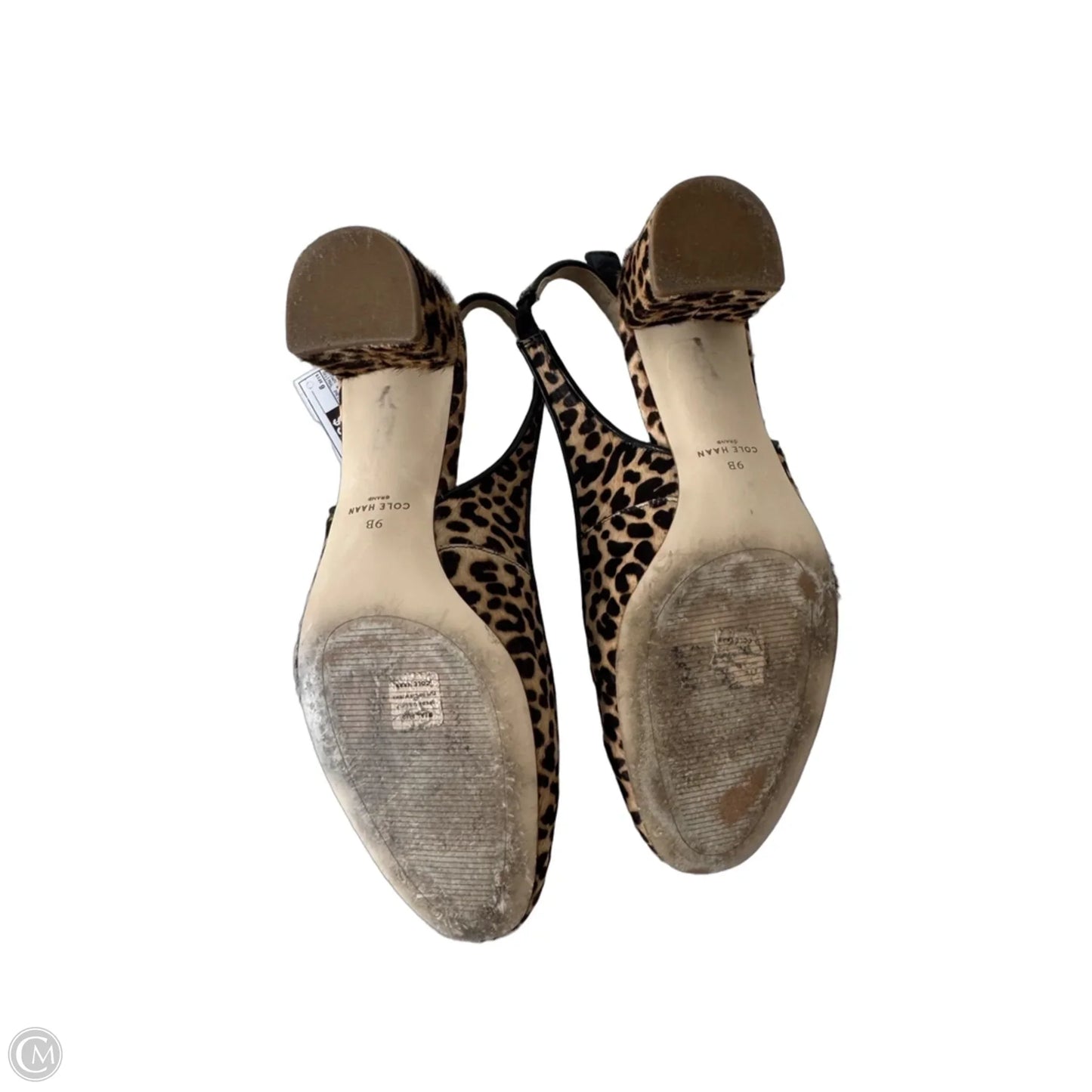 Shoes Heels Block By Cole-haan In Brown & Cream, Size: 9