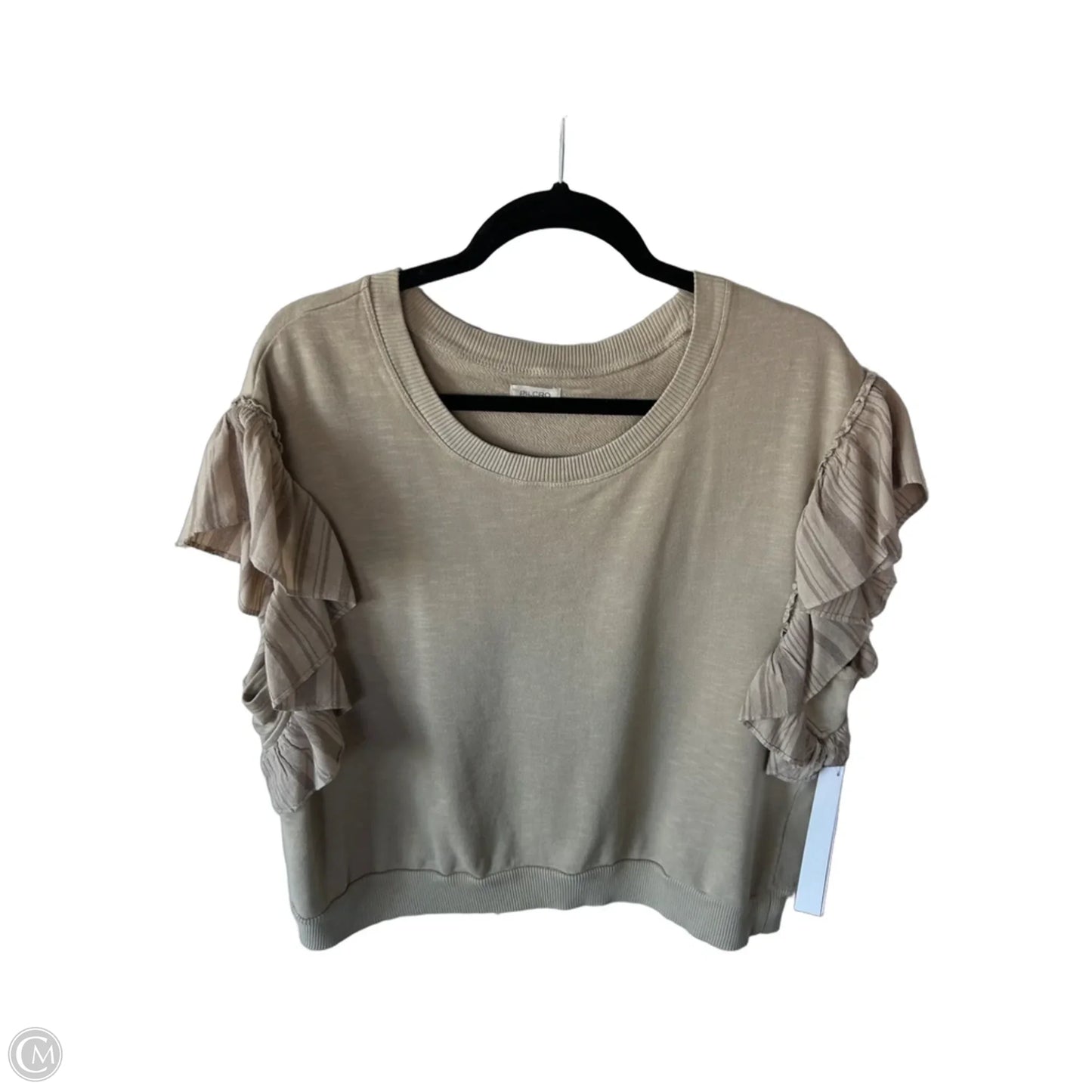 Top Short Sleeve By Pilcro In Tan, Size: Xlp
