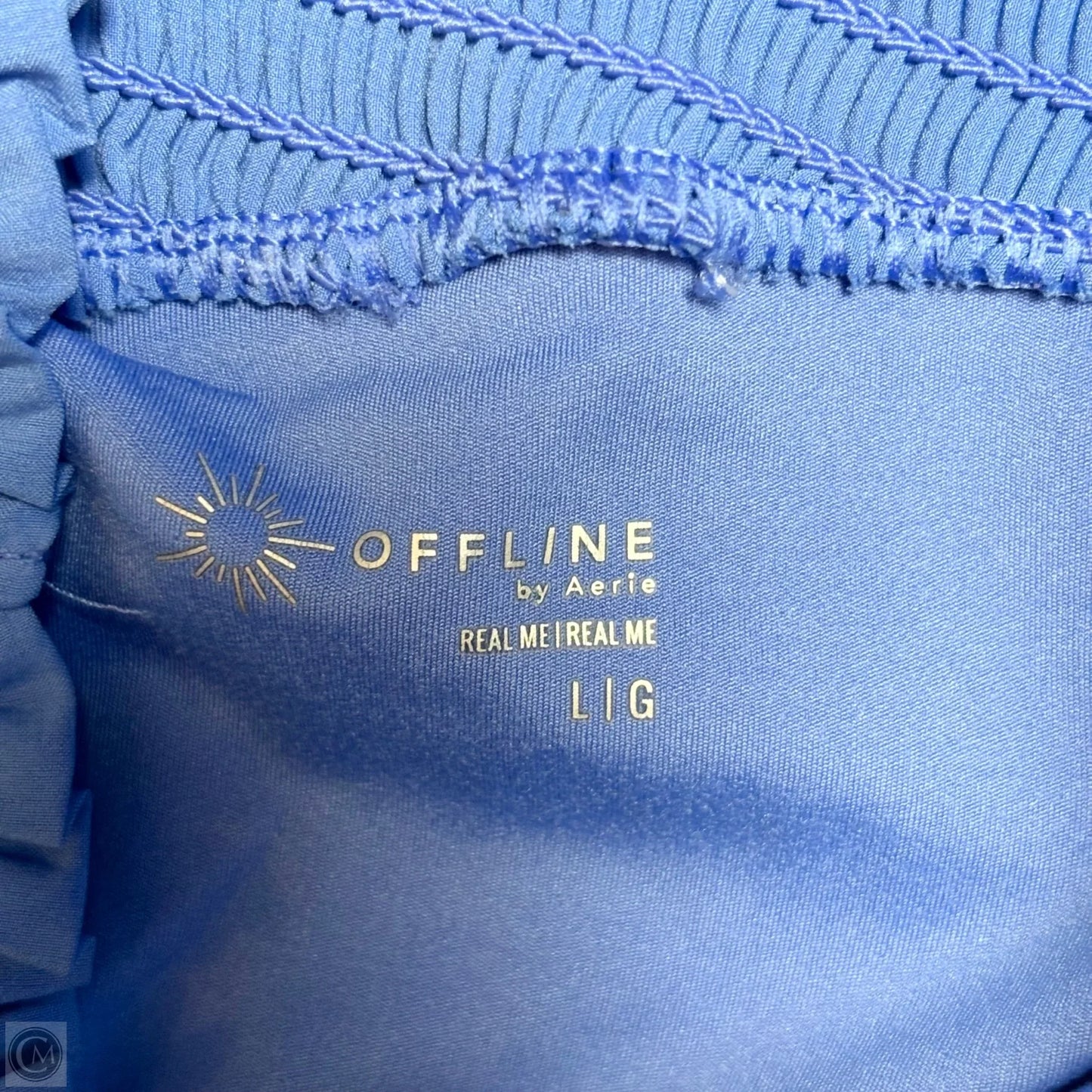 Athletic Shorts By Offline By Aerie In Blue, Size: L