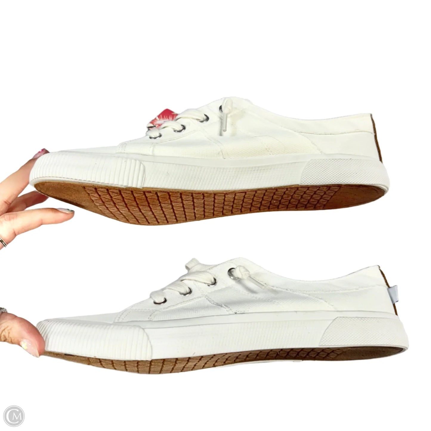 Shoes Sneakers By Tommy Bahama In White, Size: 9.5
